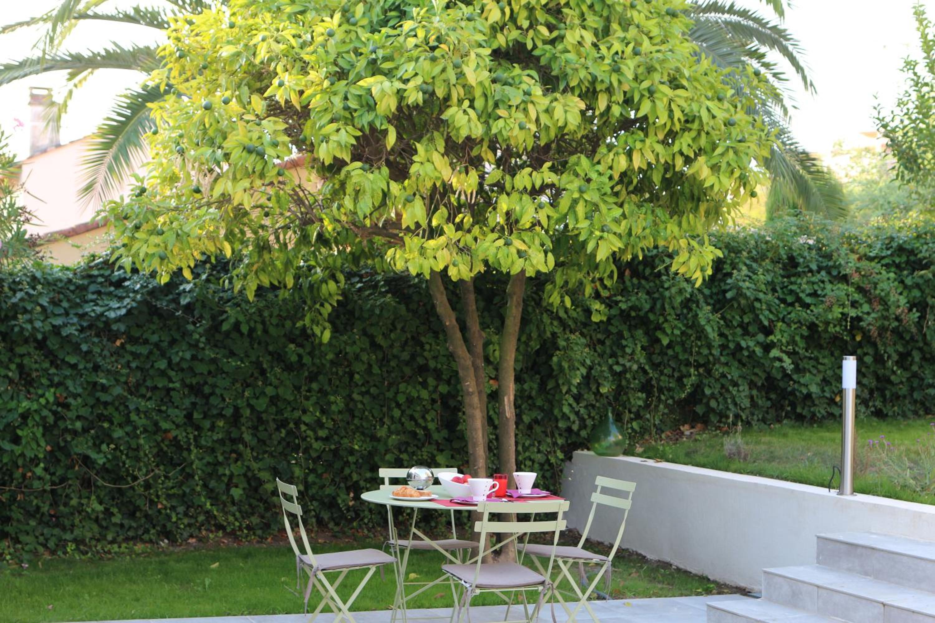Double Room with Patio photo 3