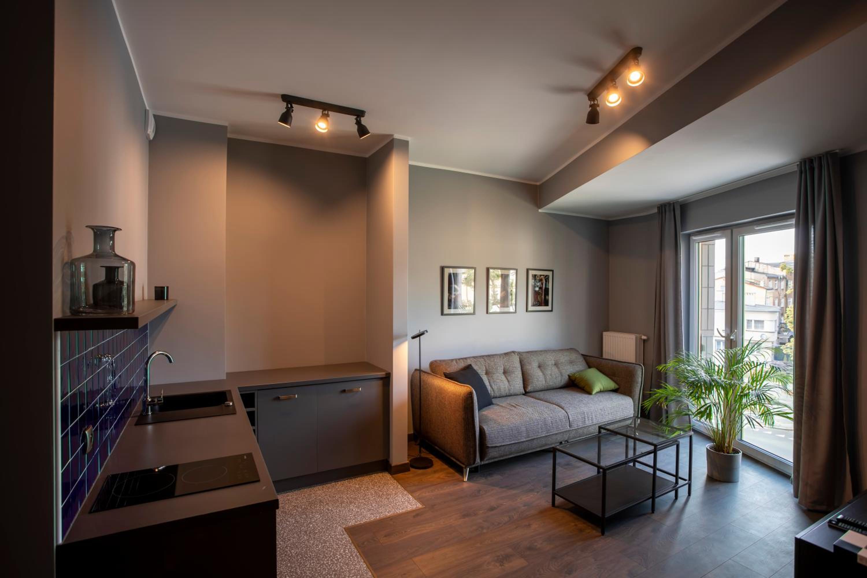 Deluxe Apartment