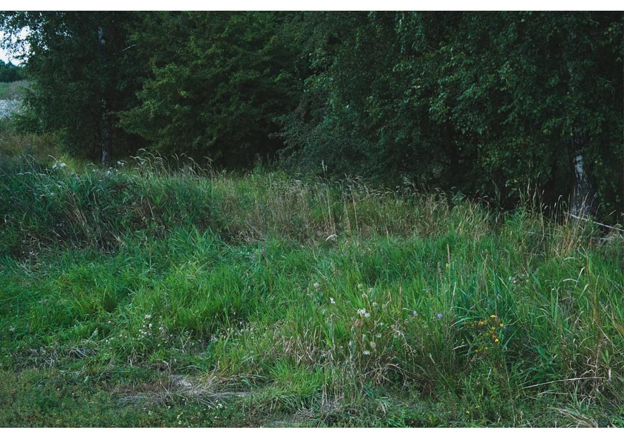 Tent - Photo 1