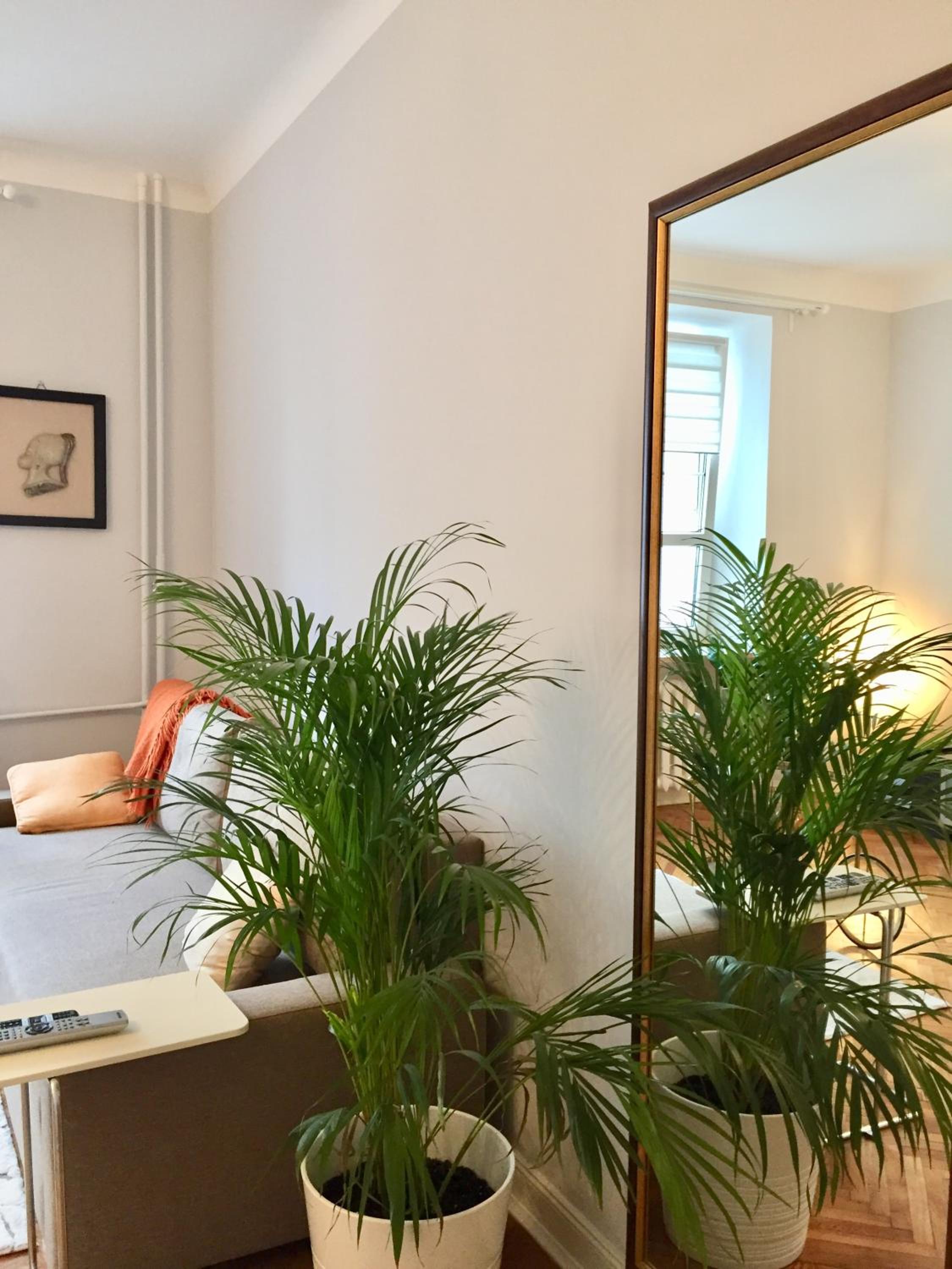 One-Bedroom Apartment - Photo 5