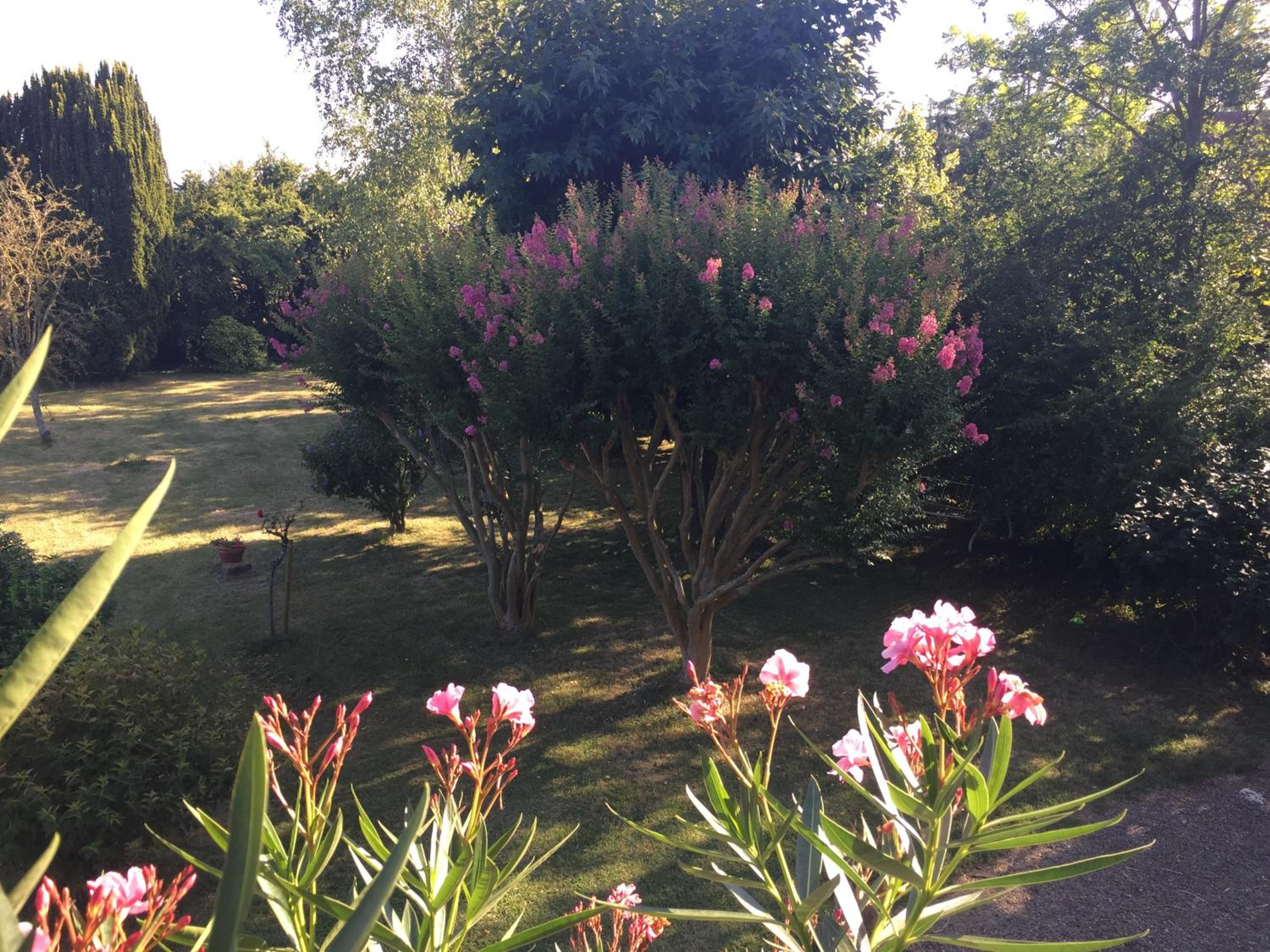 Double or Twin Room with Garden View photo 2