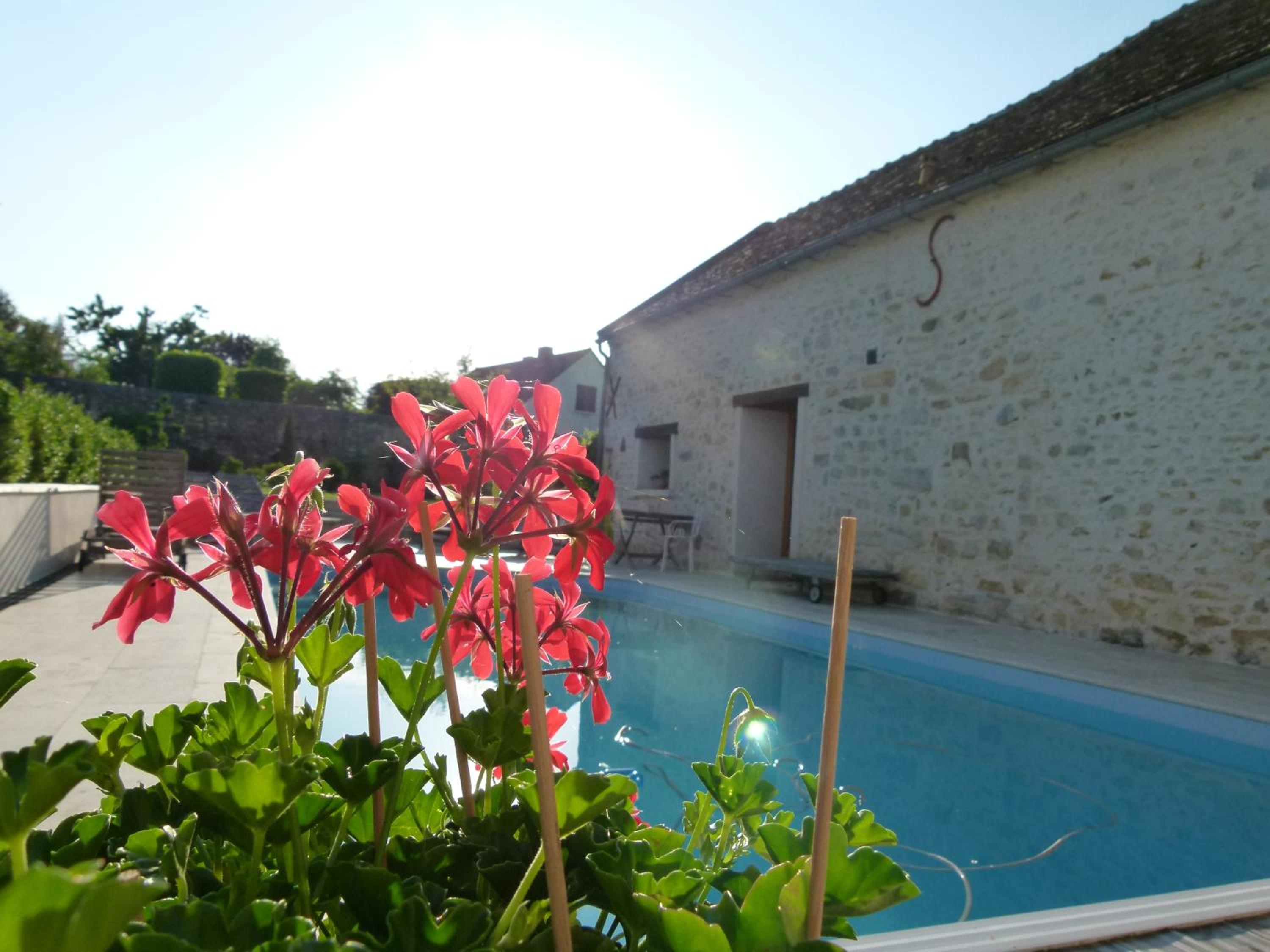 Suite with Private Pool