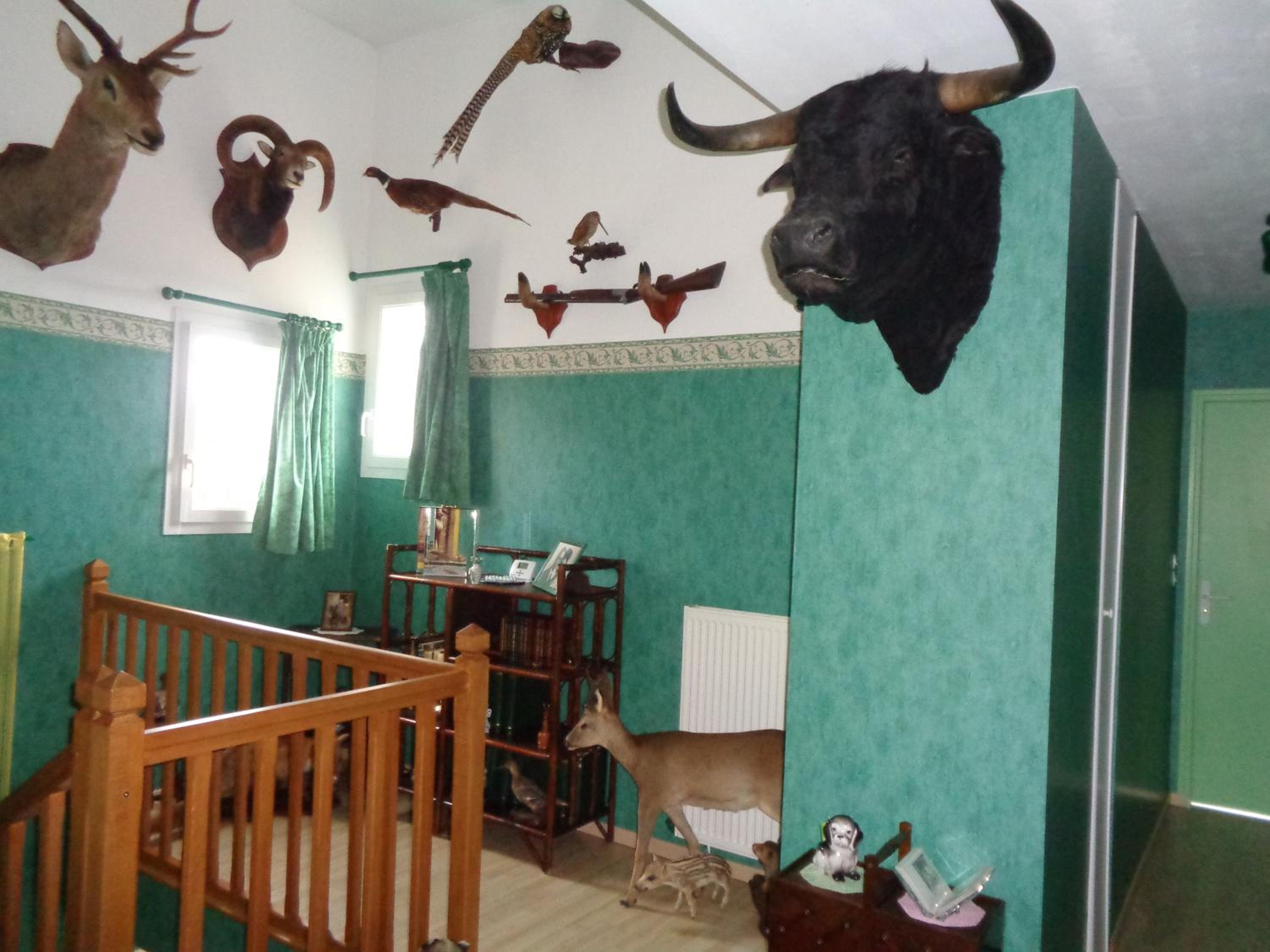 Double Room with Park View photo 3