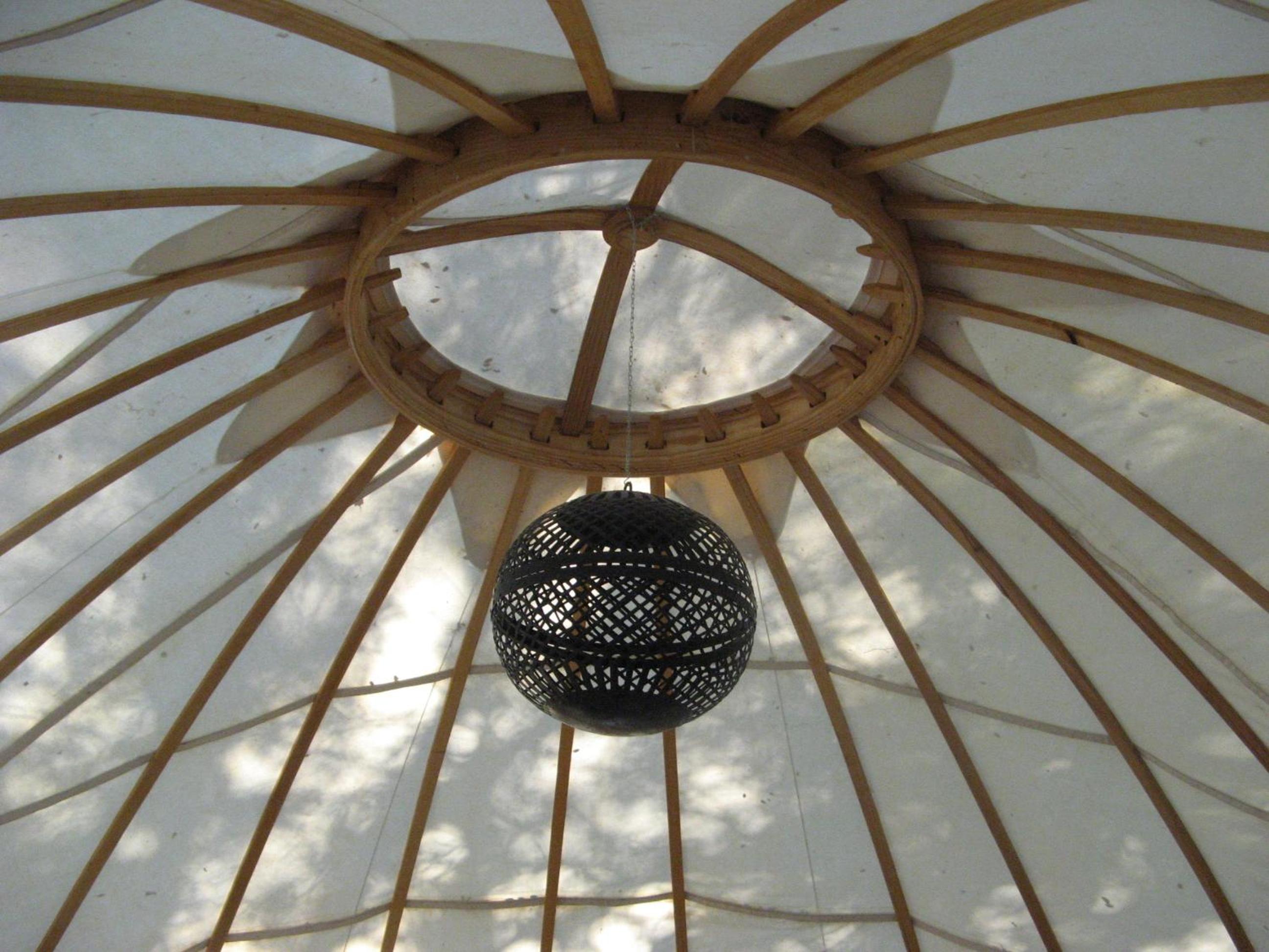 Yurt photo 3