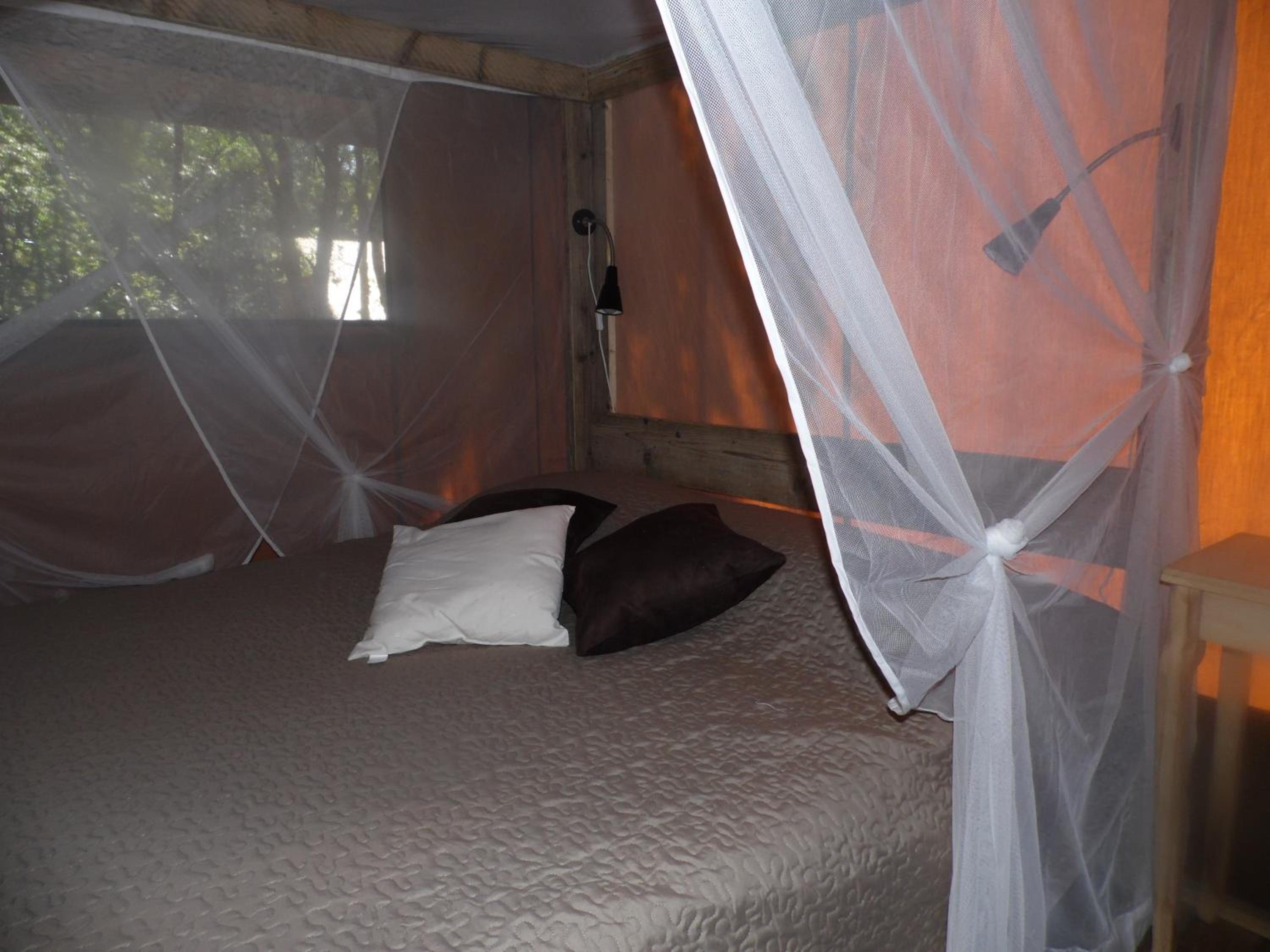 Safari Lodge photo 3