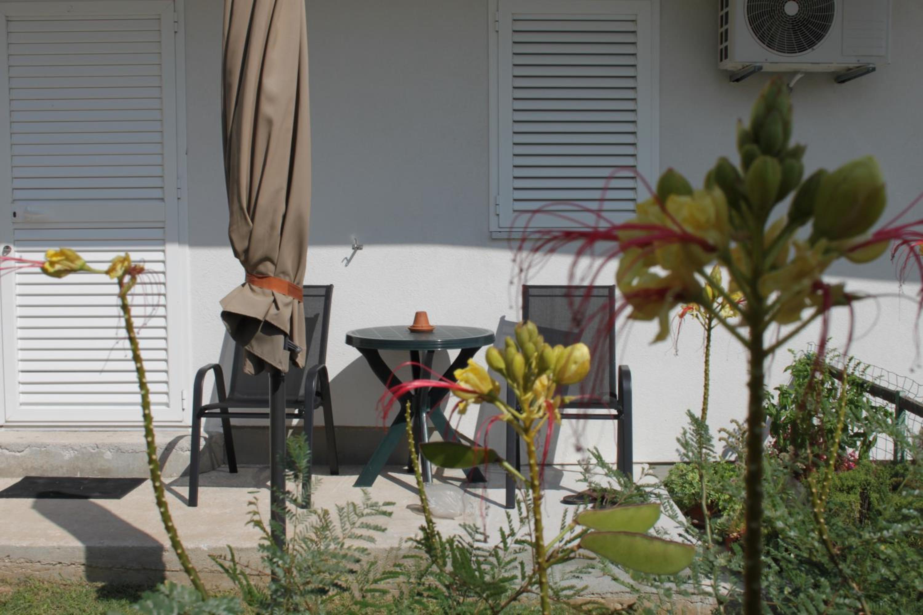 Apartment with Terrace photo 2