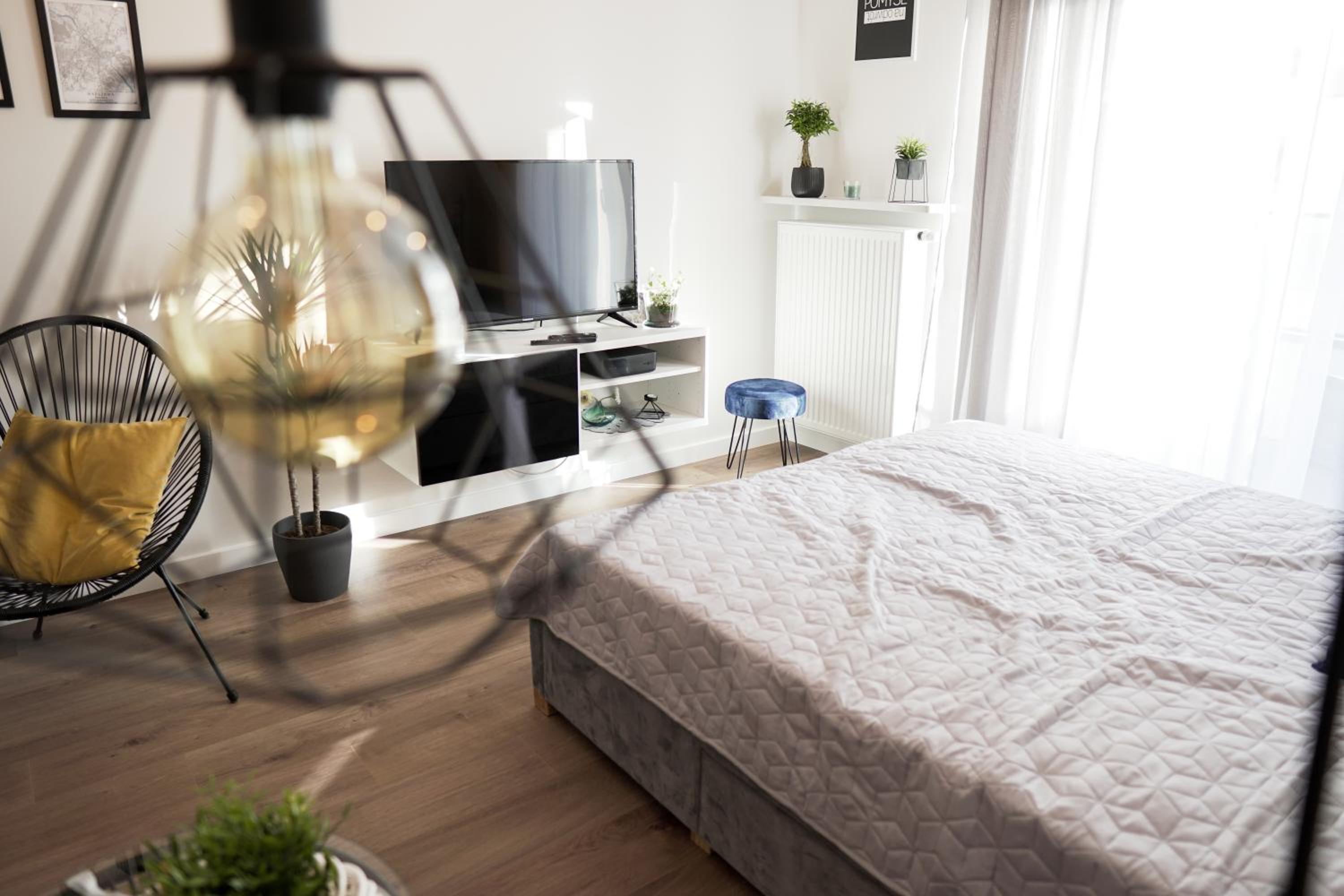 Studio Apartment - Photo 4