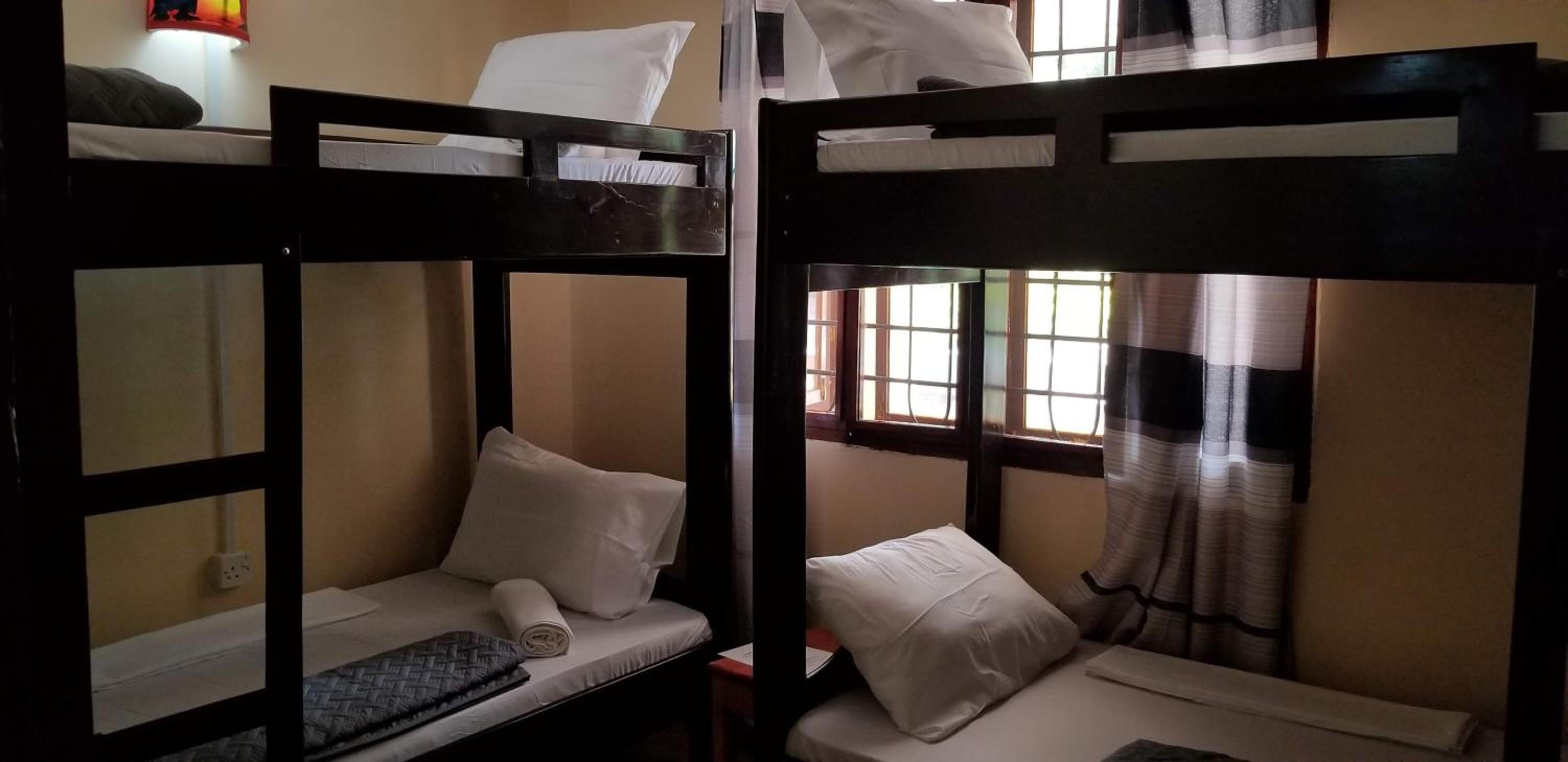 Twin Room photo 2