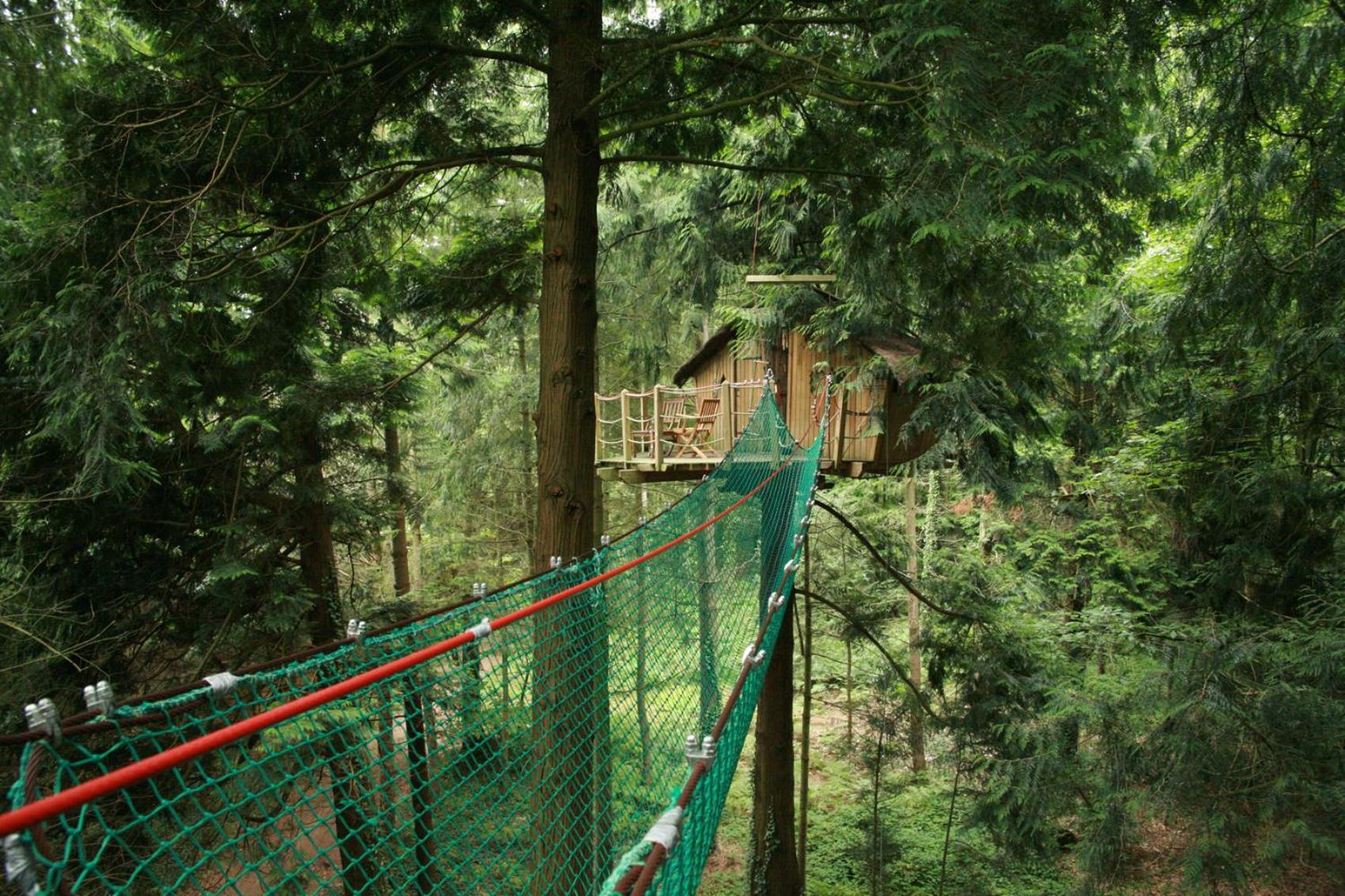 Tree House (2 Adults) photo 1