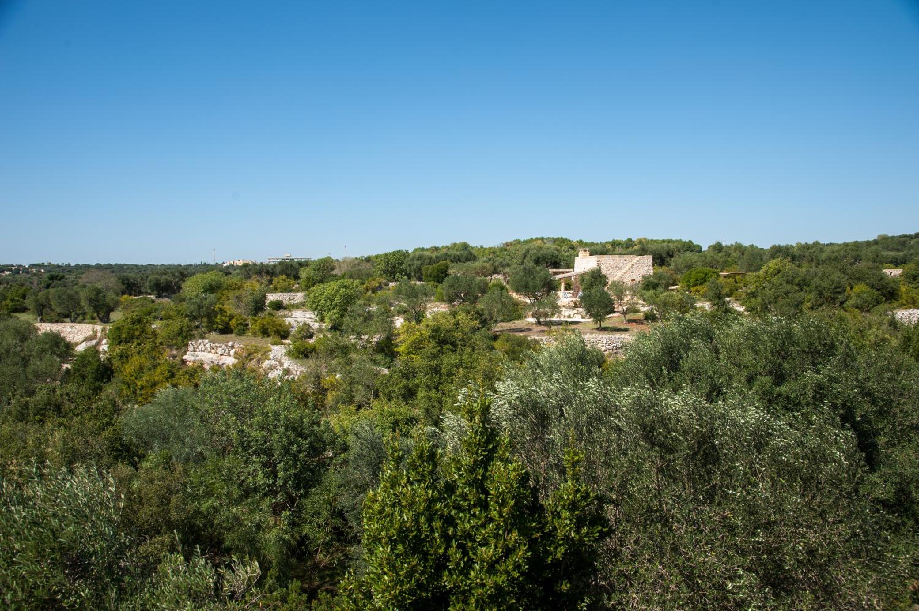 Holiday Home photo 1