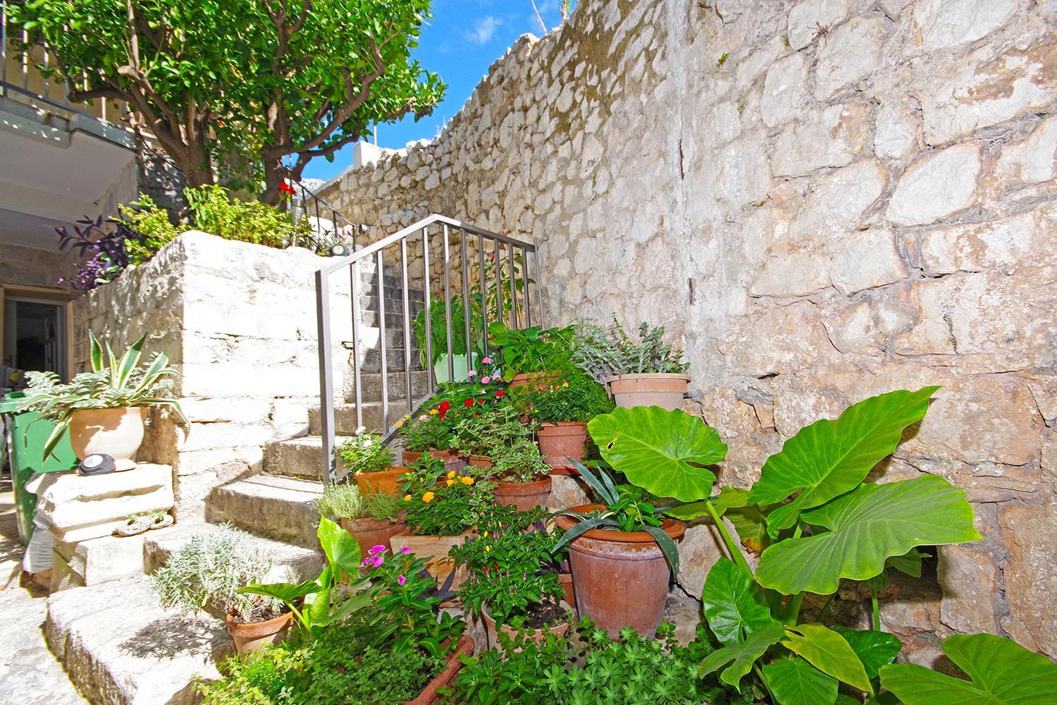 Studio with Terrace - Photo 5