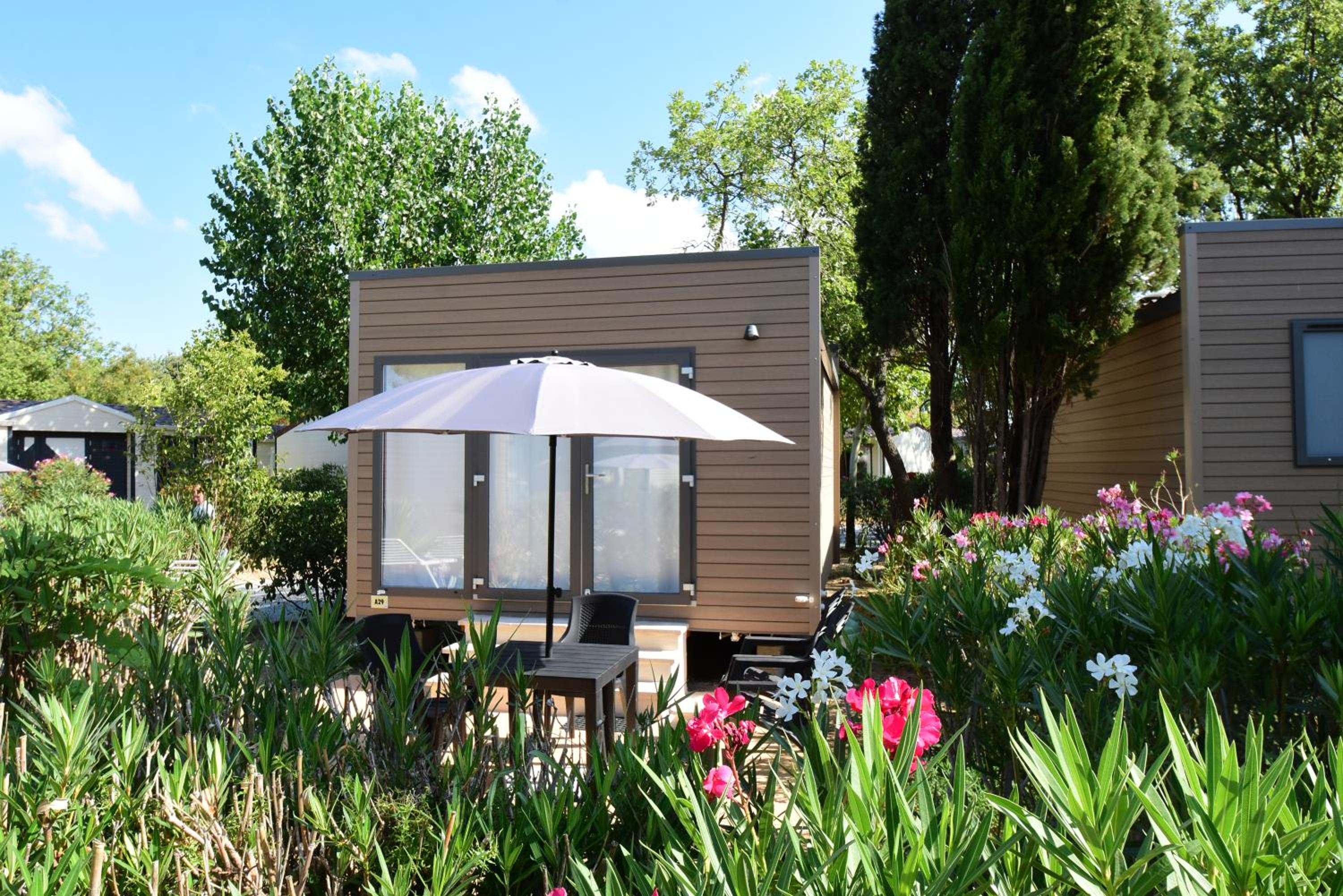 Mobile Home photo 1
