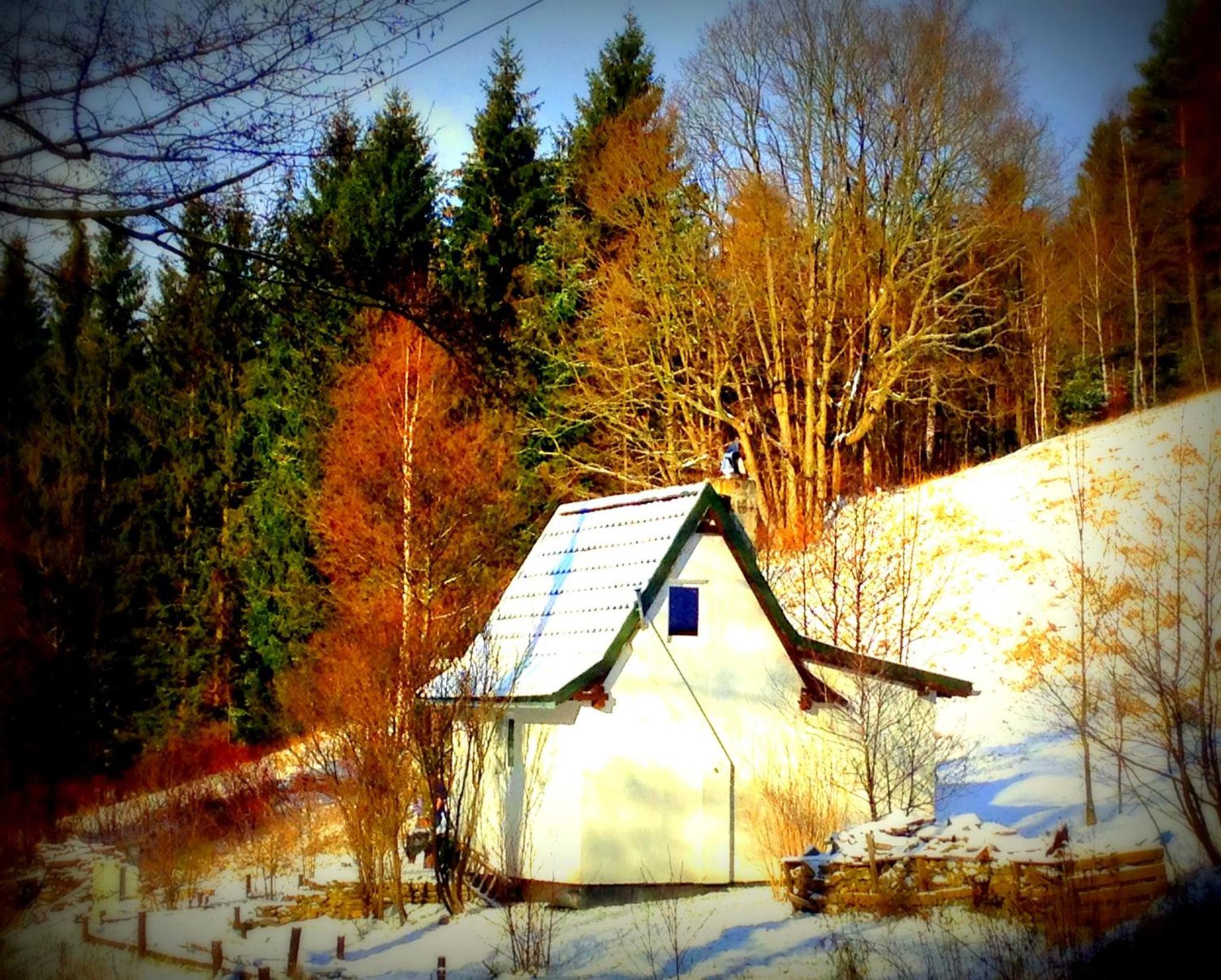 Two-Bedroom House