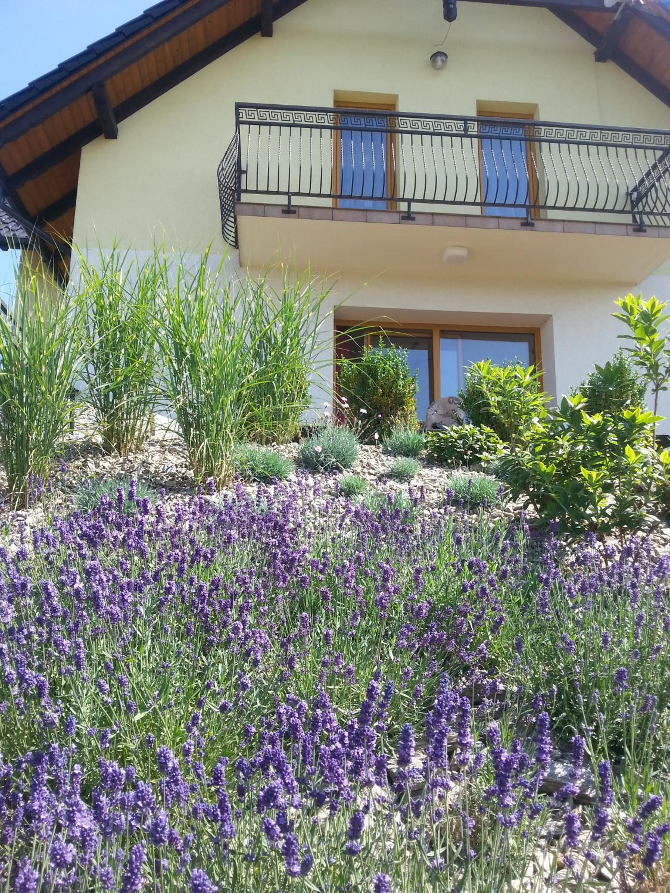 Five-Bedroom House photo 2