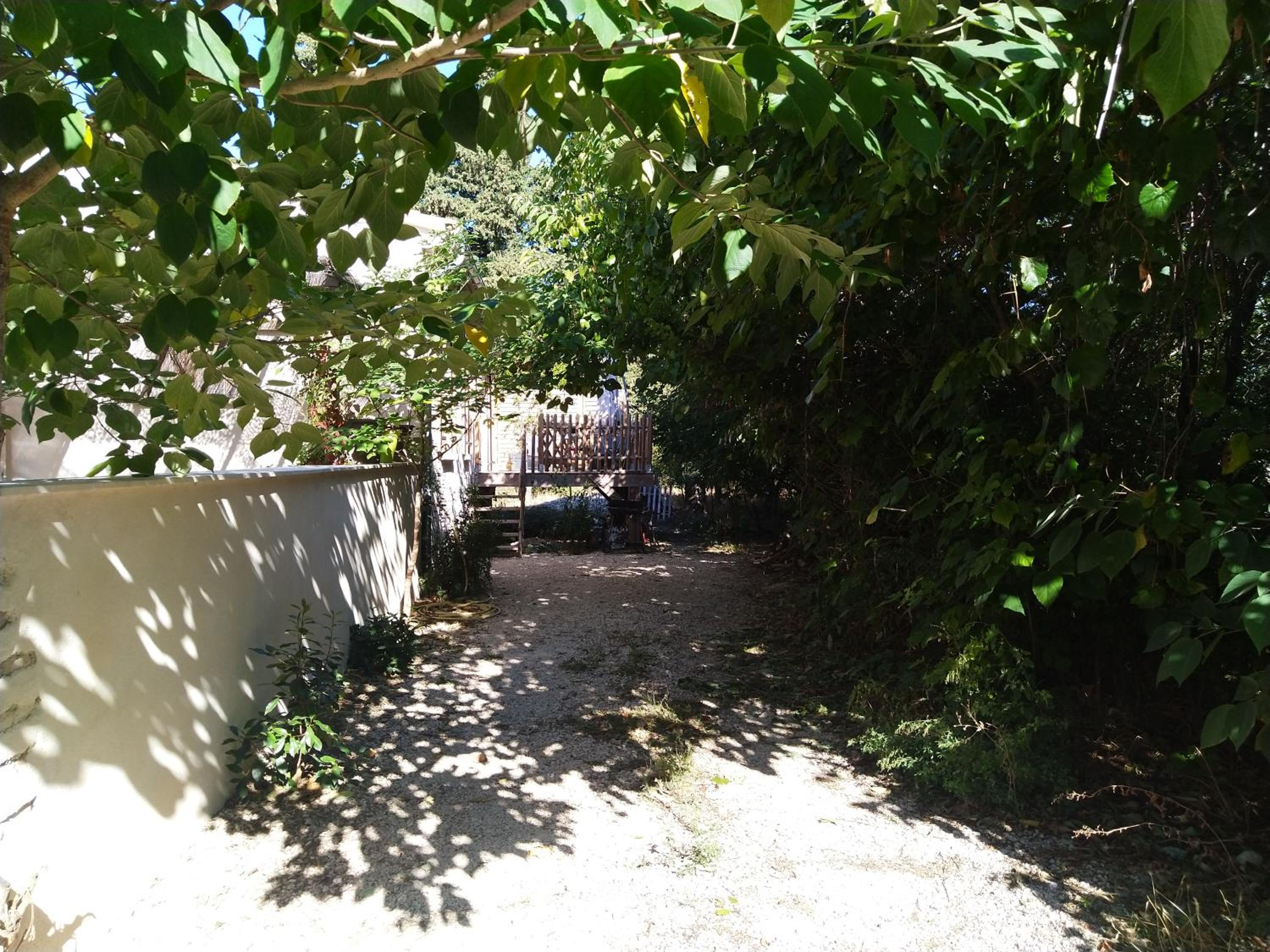 Chez Albert