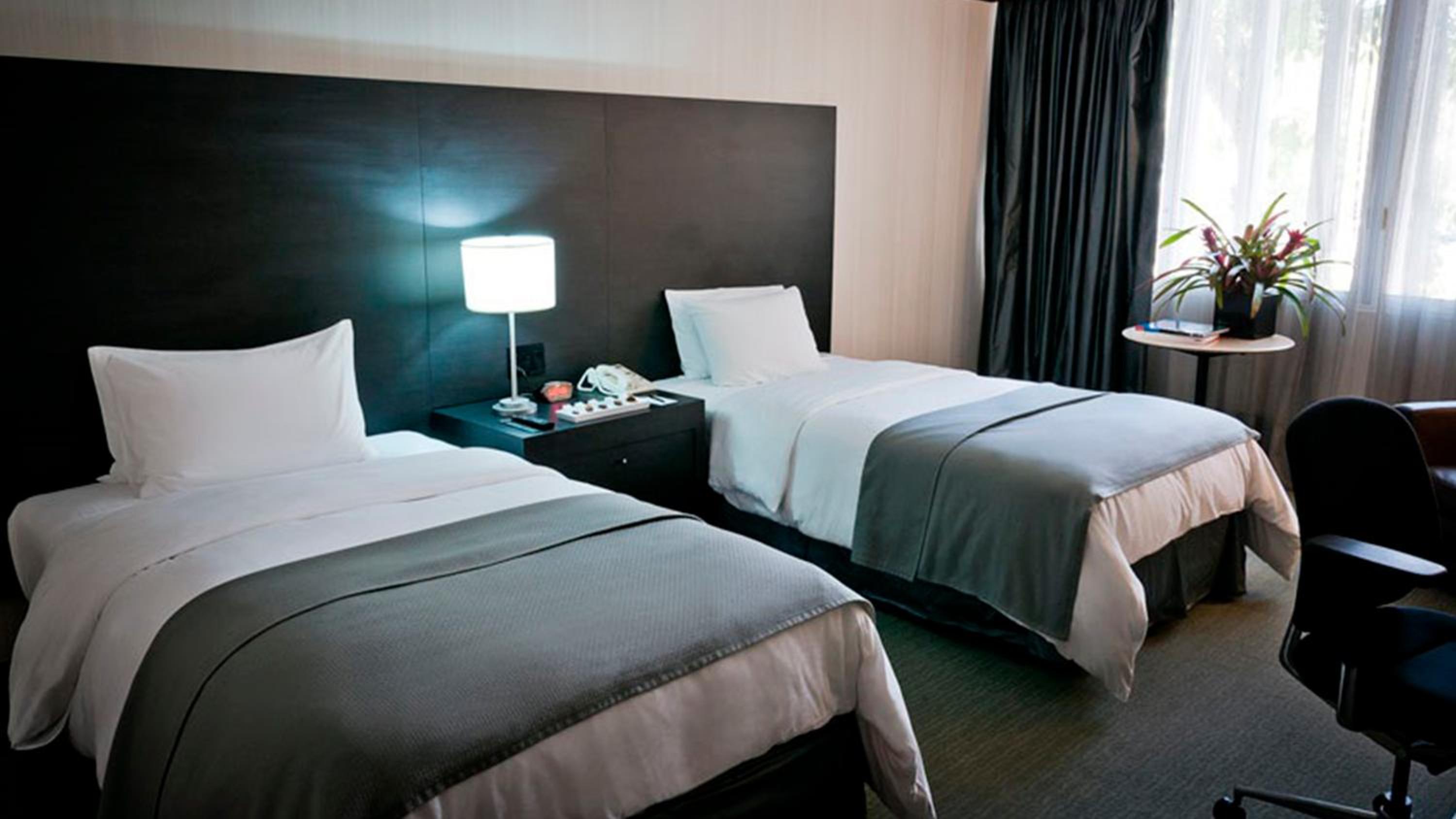 Deluxe Twin Room photo 3
