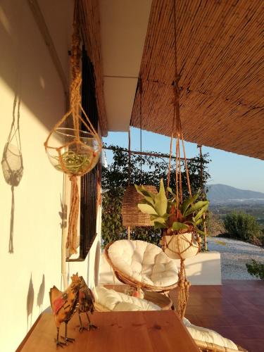 Studio with Mountain View