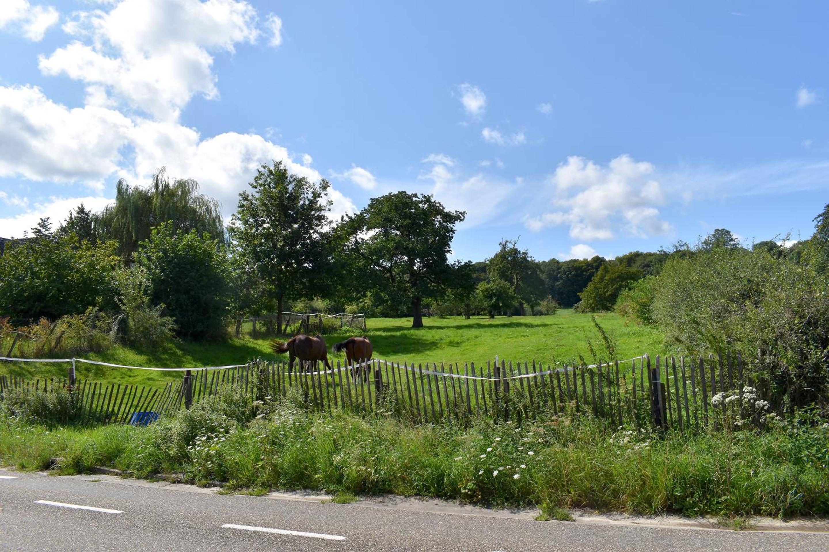 Holiday Home photo 2