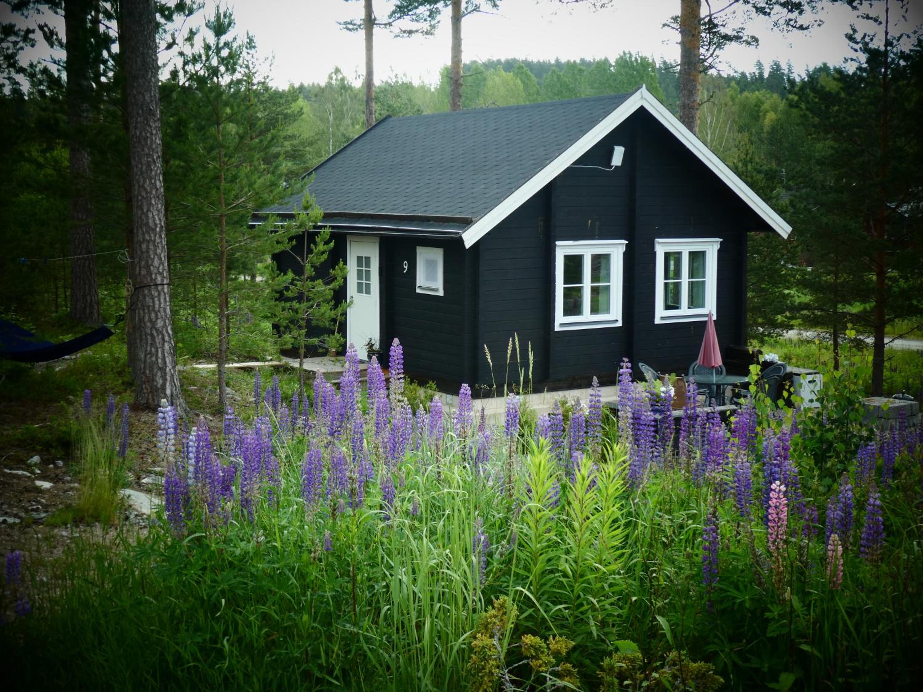 Two-Bedroom House photo 1