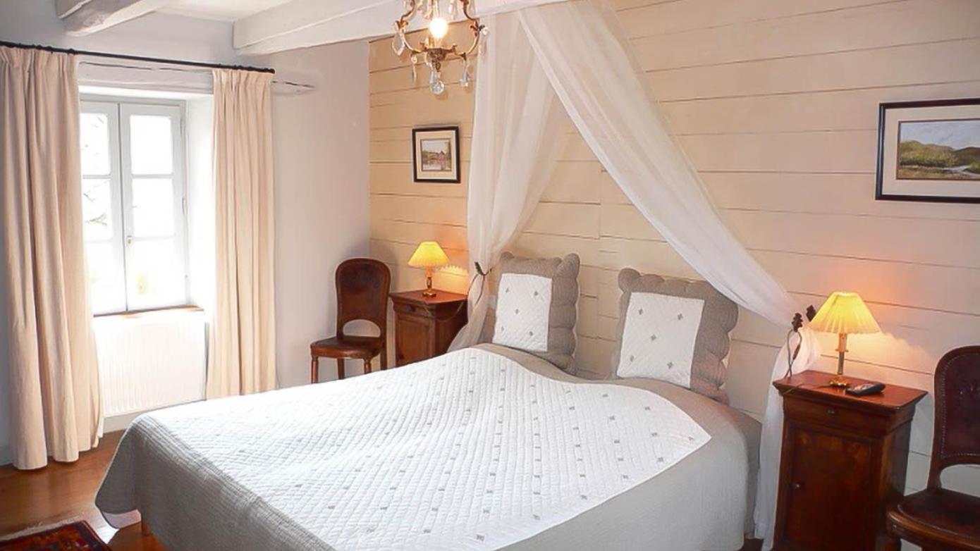 King Room with Garden View photo 1