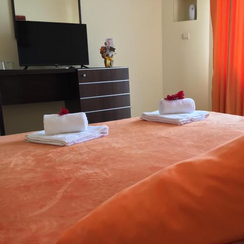 Standard Double Room - Photo 6