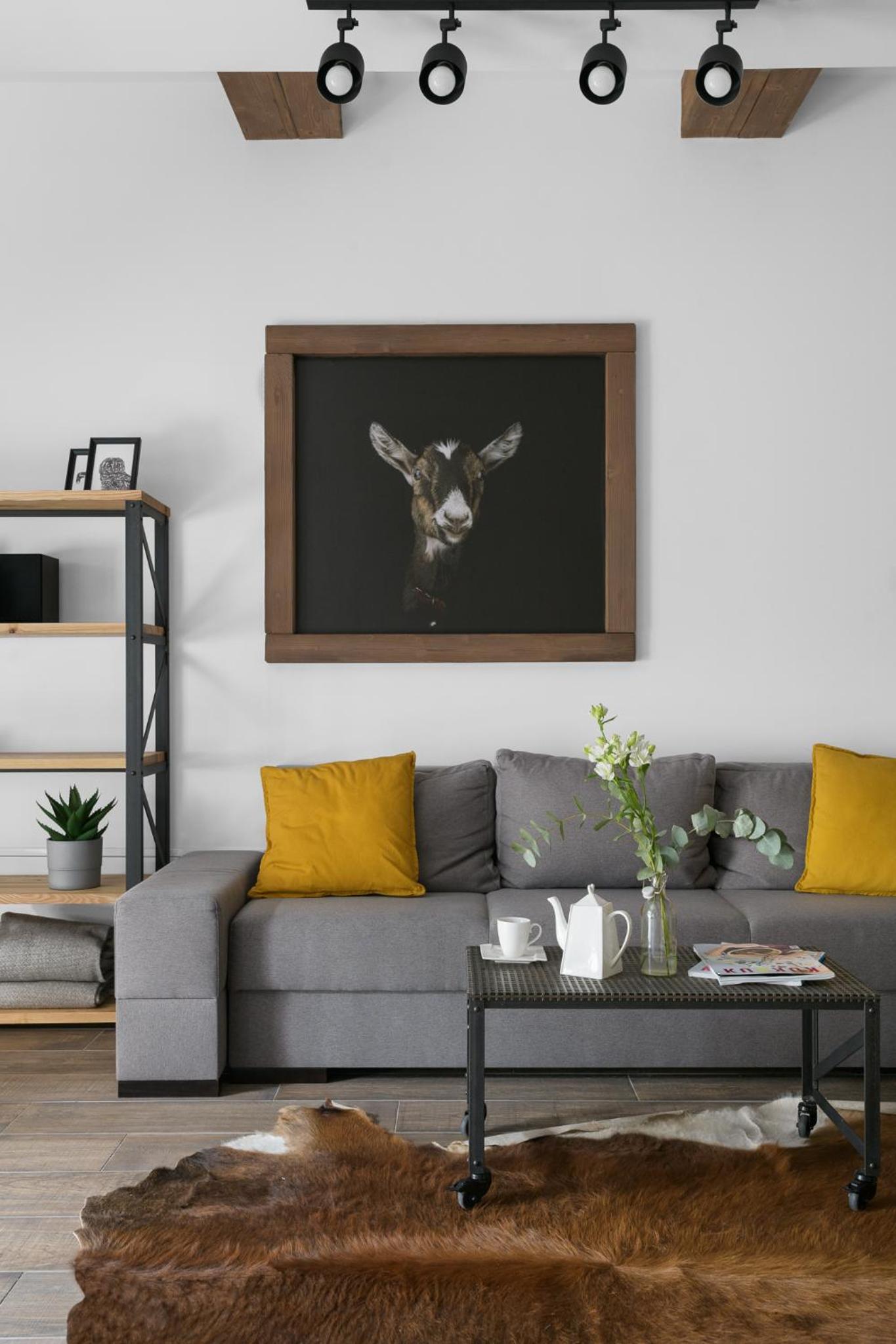 Studio with Sofa Bed