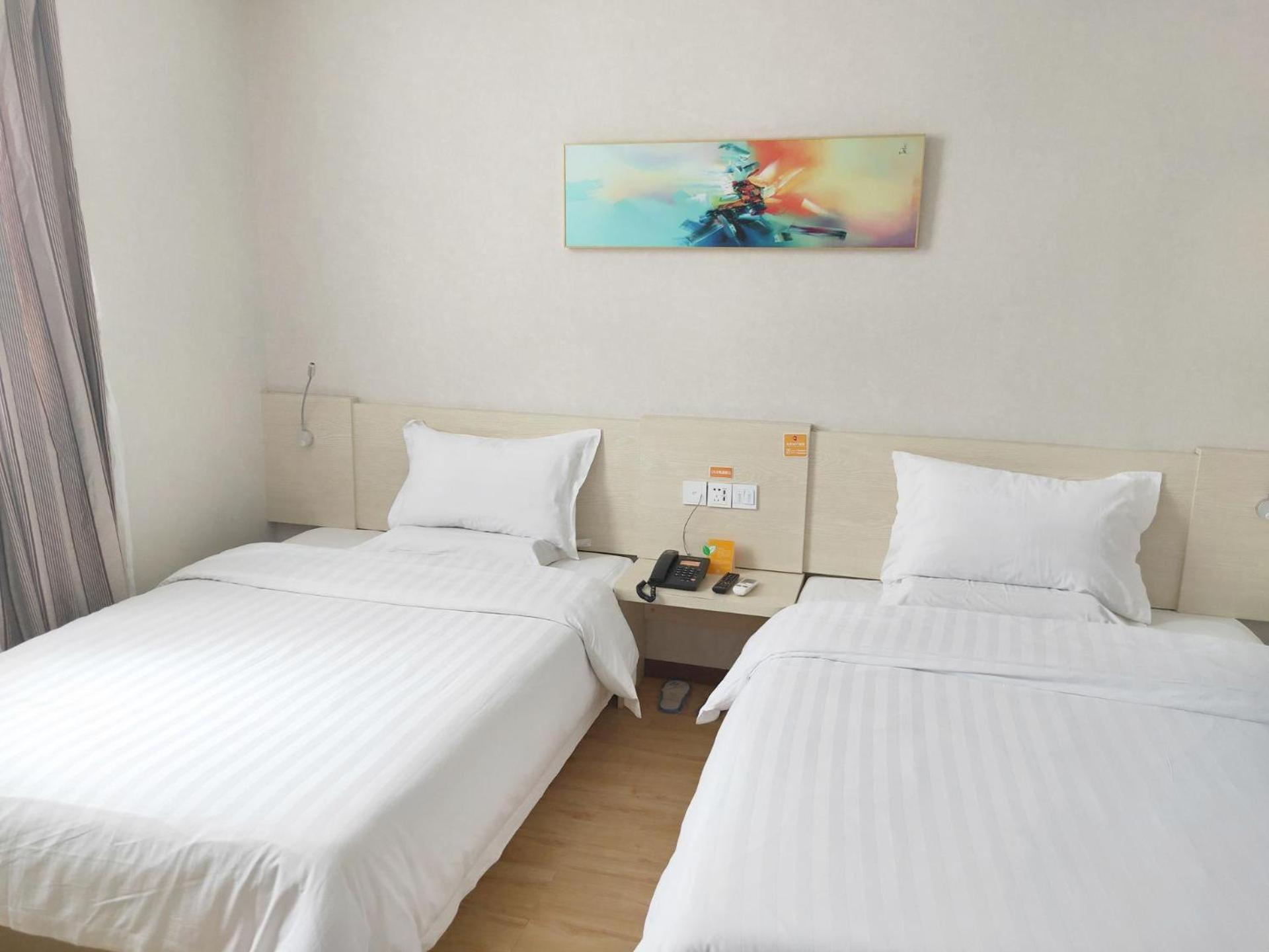 Comfortable Twin Room photo 1