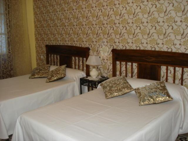 Double Room with Terrace photo 3