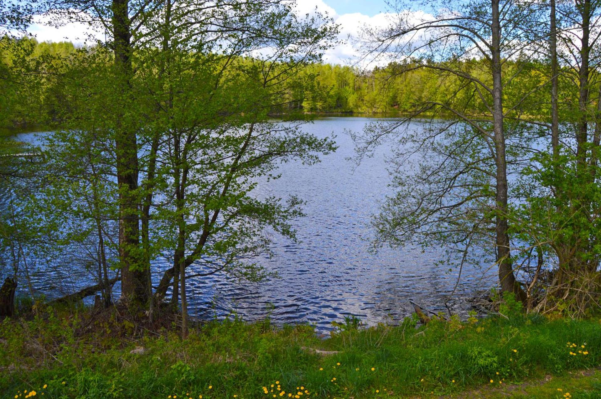 Double Room with Lake View photo 2