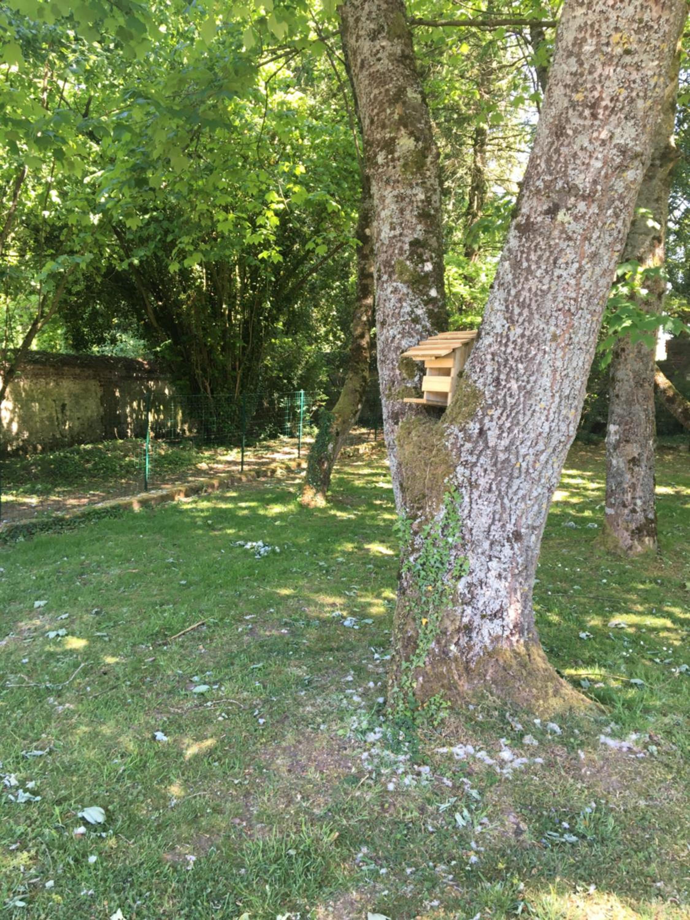 Double Room - Photo 15