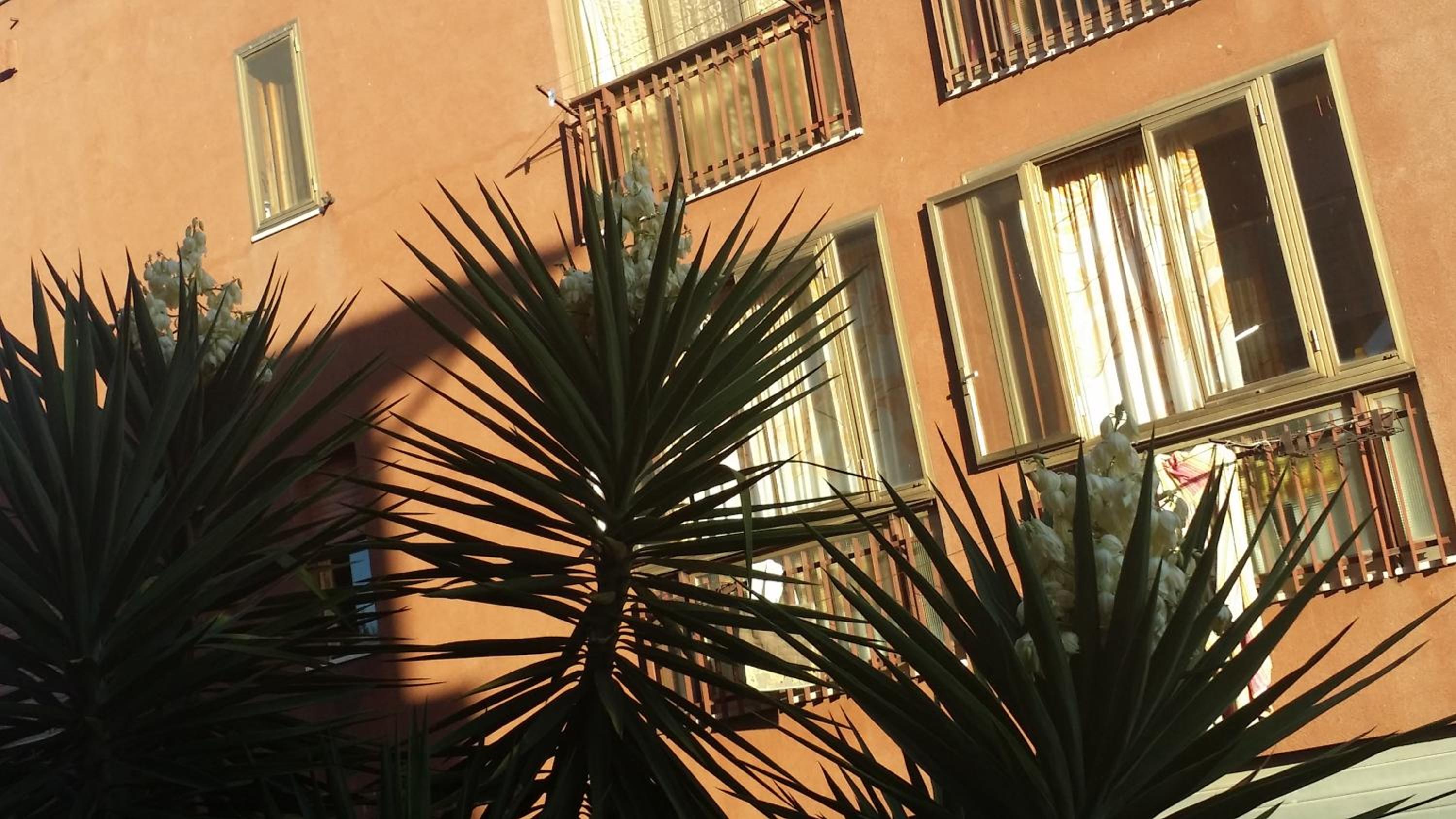 Holiday Home photo 2