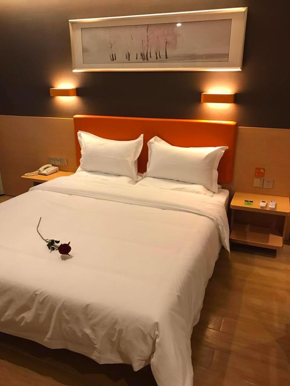 Superior Suite photo 2