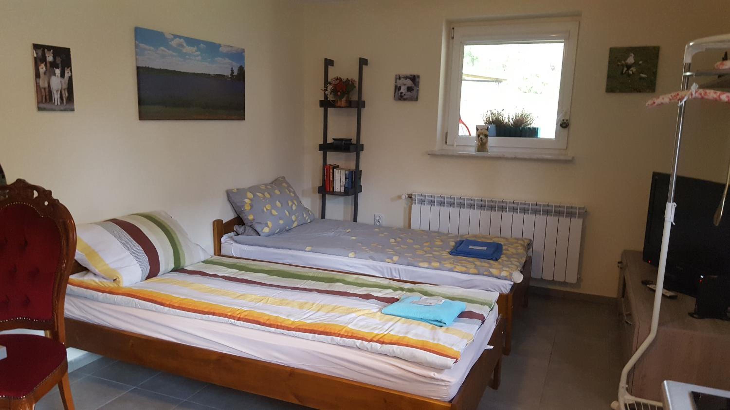 Double Room with Garden View photo 3