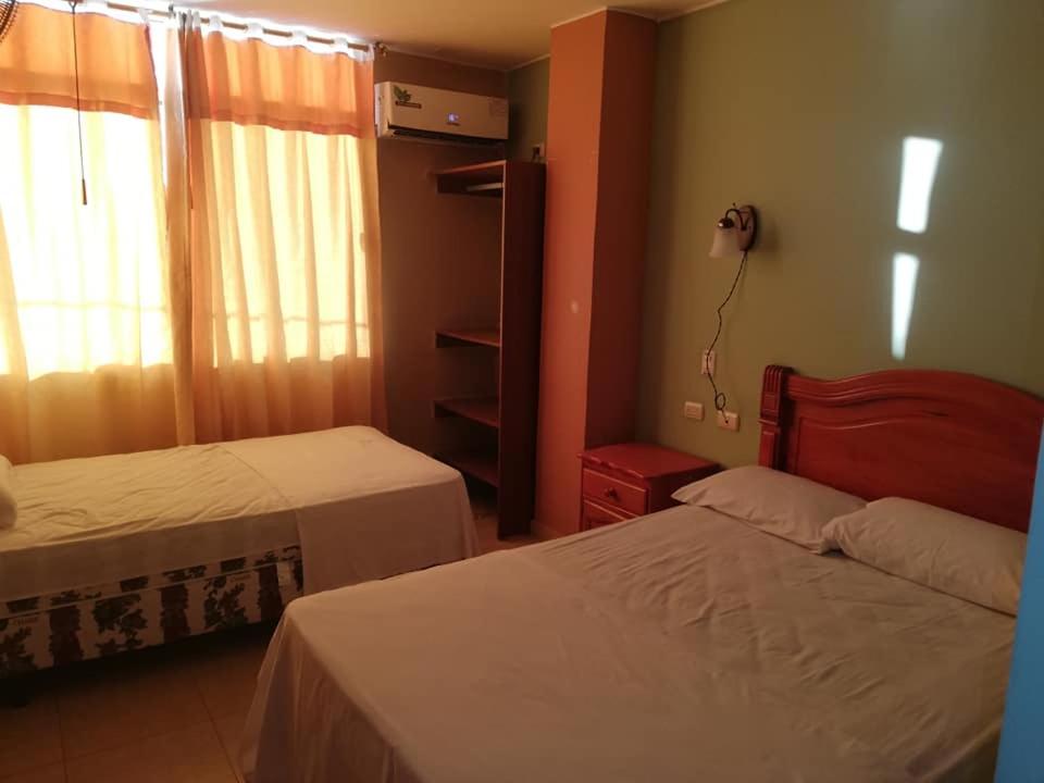 Twin Room photo 2