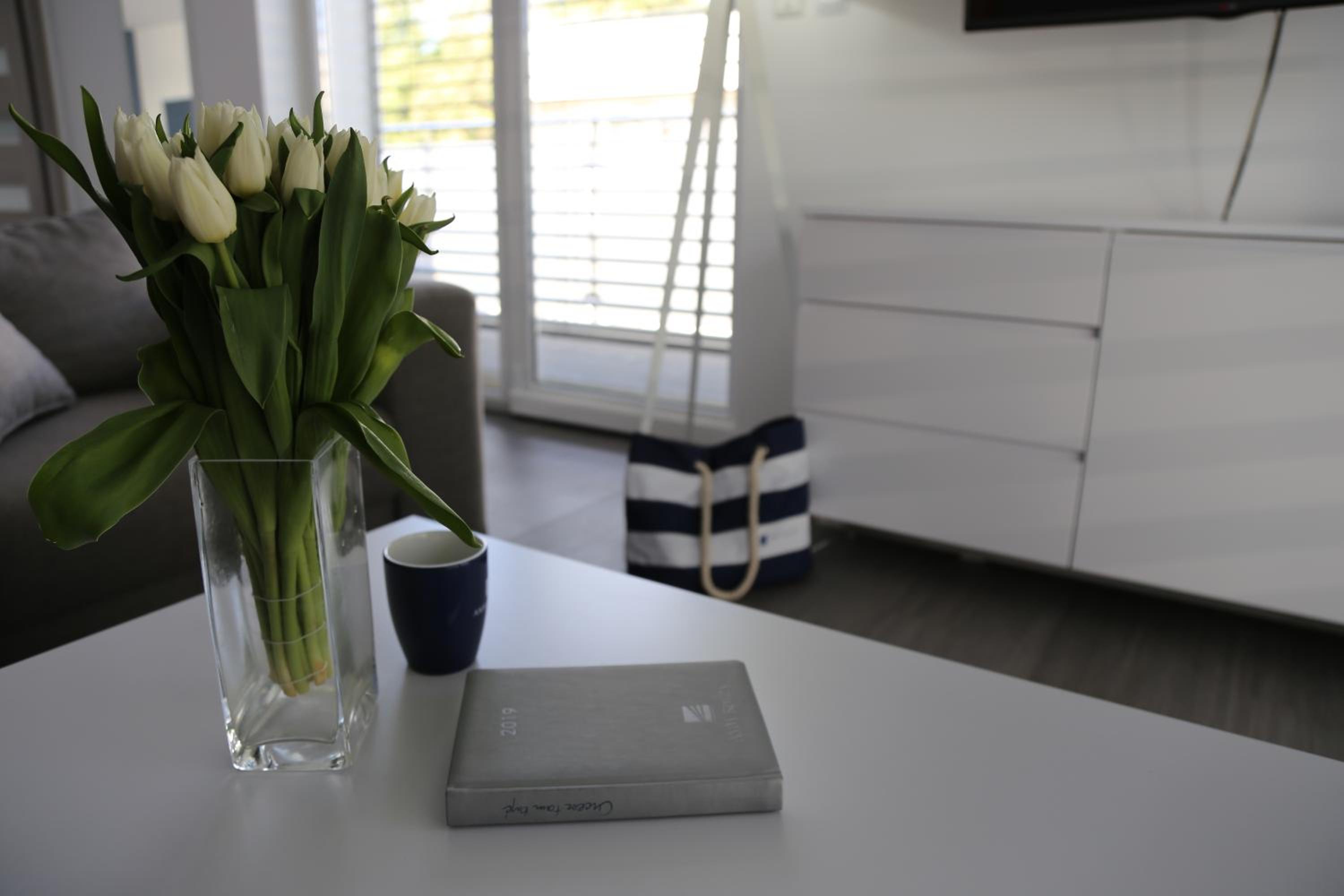 Apartment - Photo 6