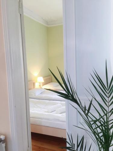 Superior Quadruple Room photo 3