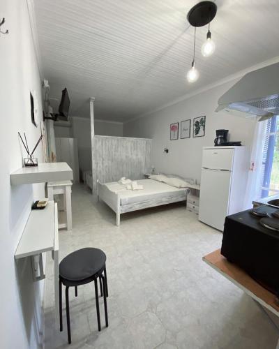 Studio (4 Adults)