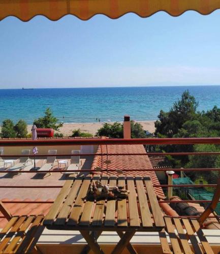 Villa - Beach Front photo 2