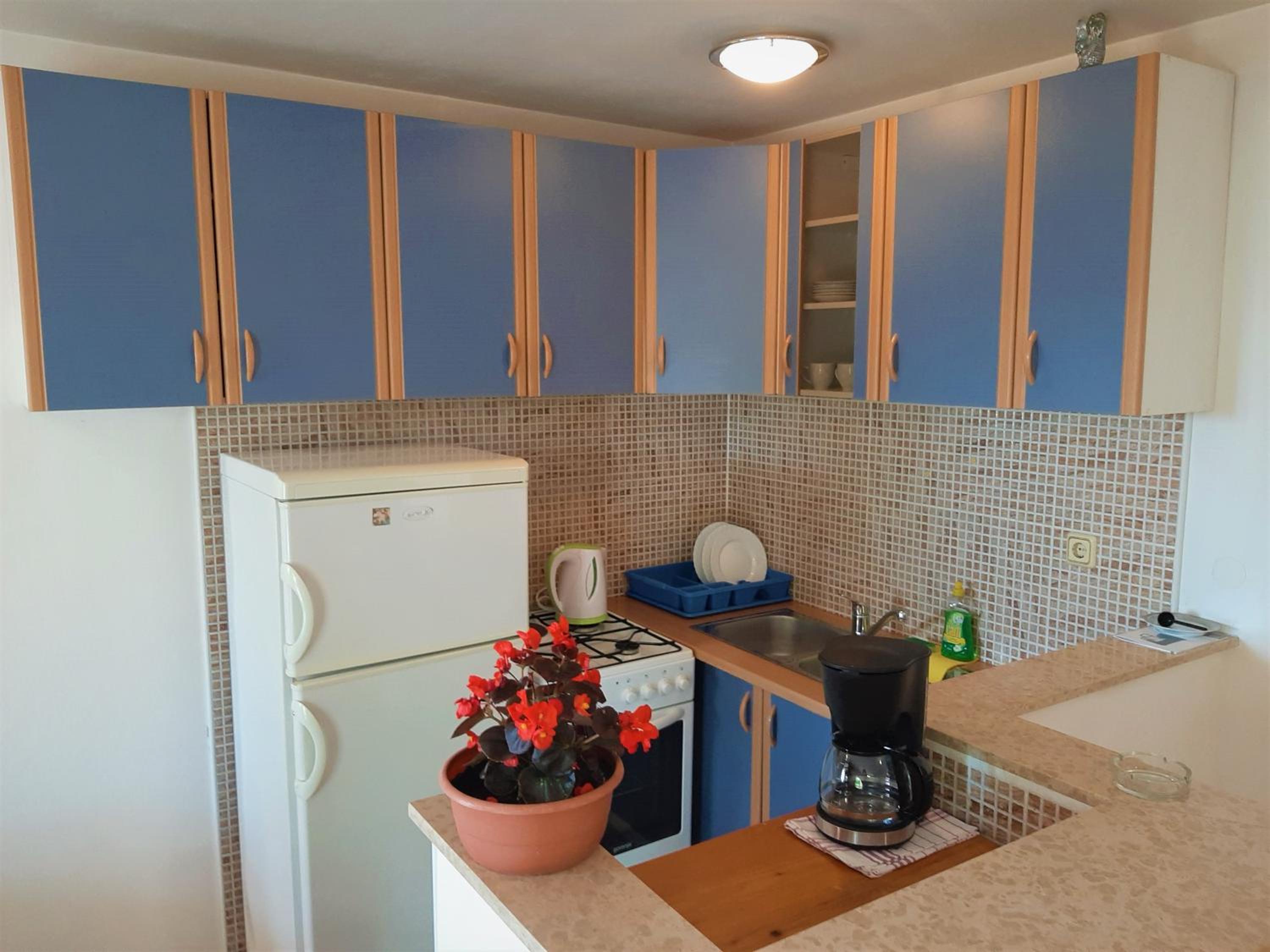 Apartment with Terrace - Photo 6