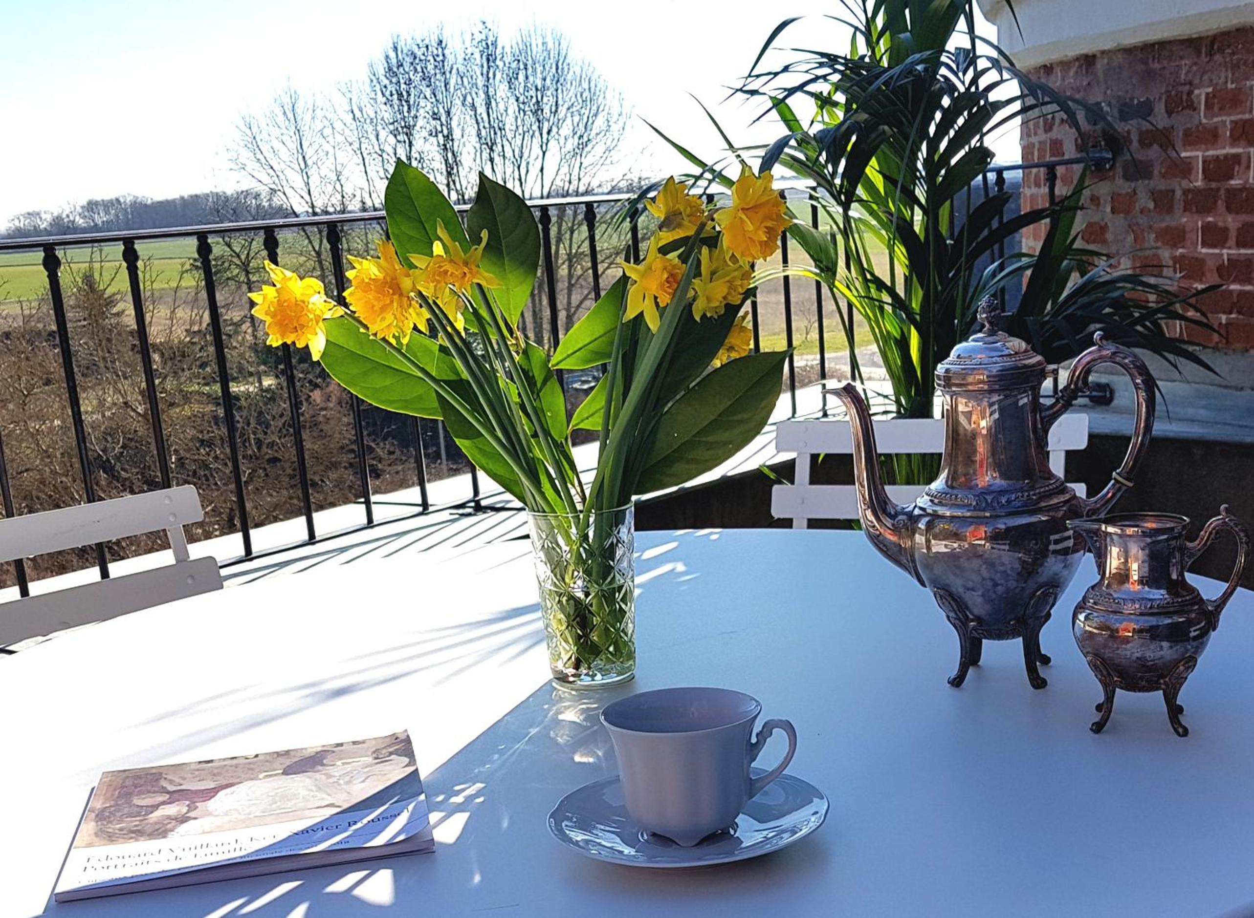 Apartment with Terrace photo 3