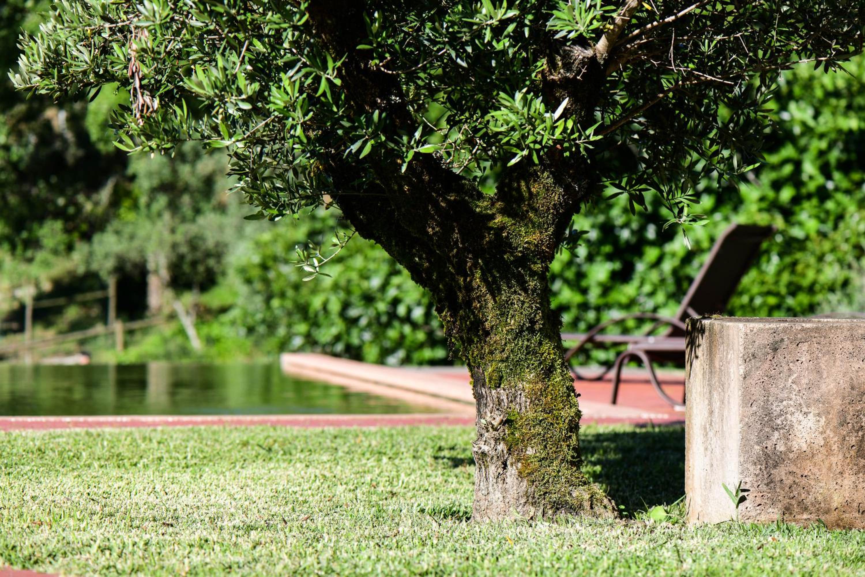 Villa photo 2