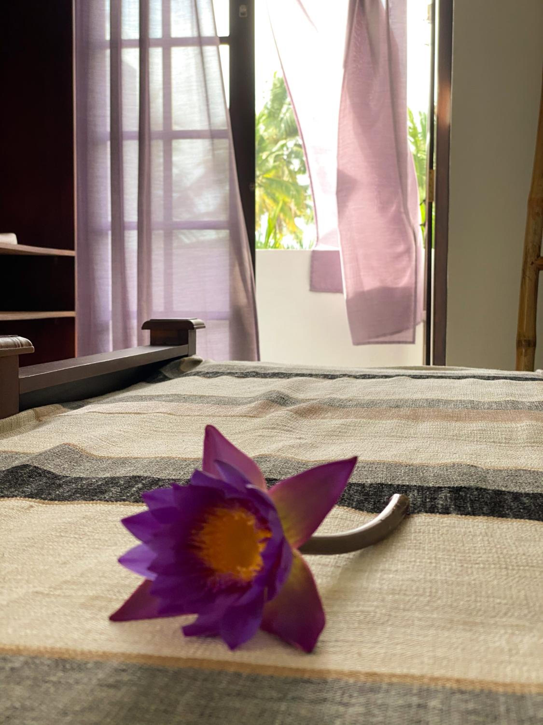 Deluxe Double Room with Garden View and Balcony photo 3
