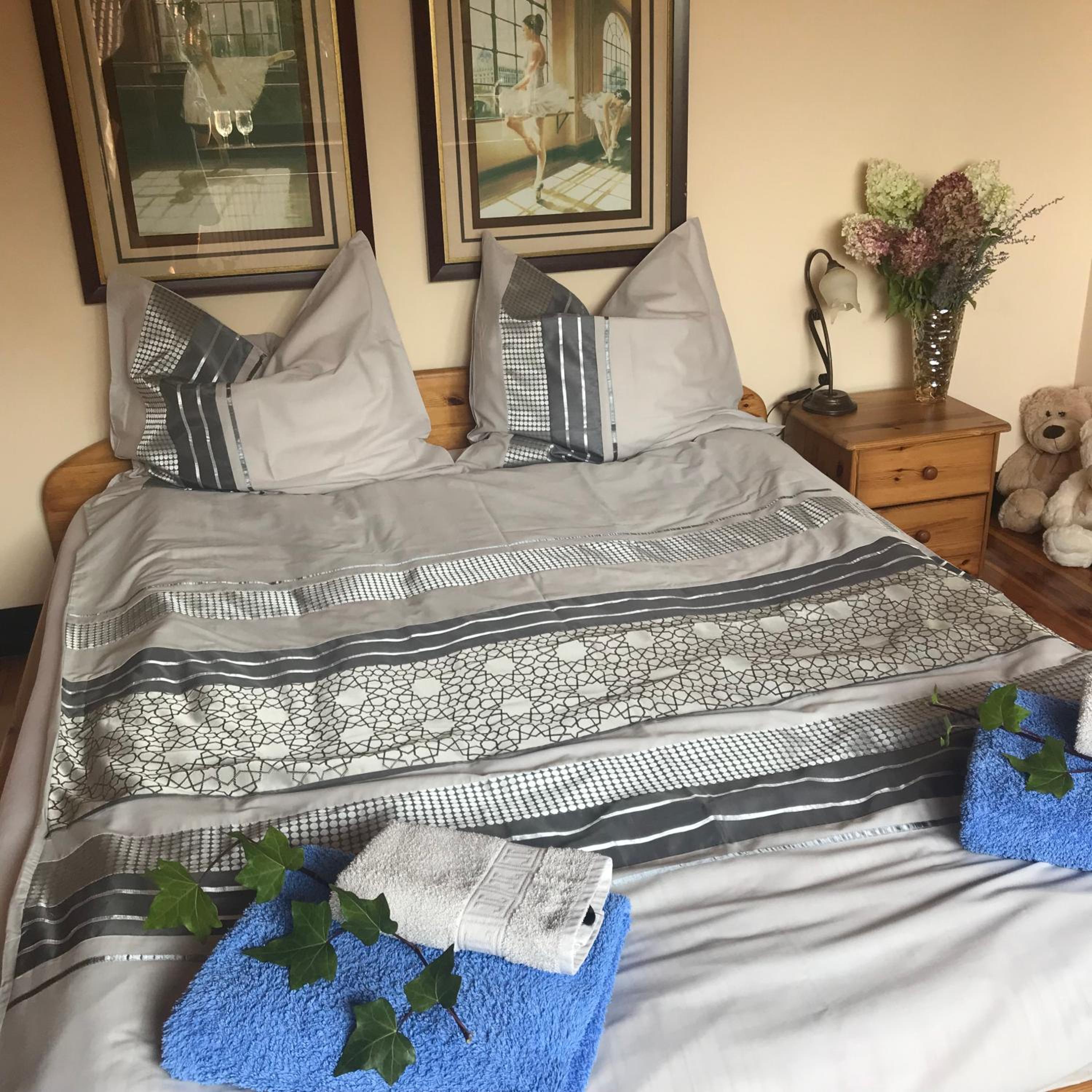 Large Double or Twin Room - Photo 8
