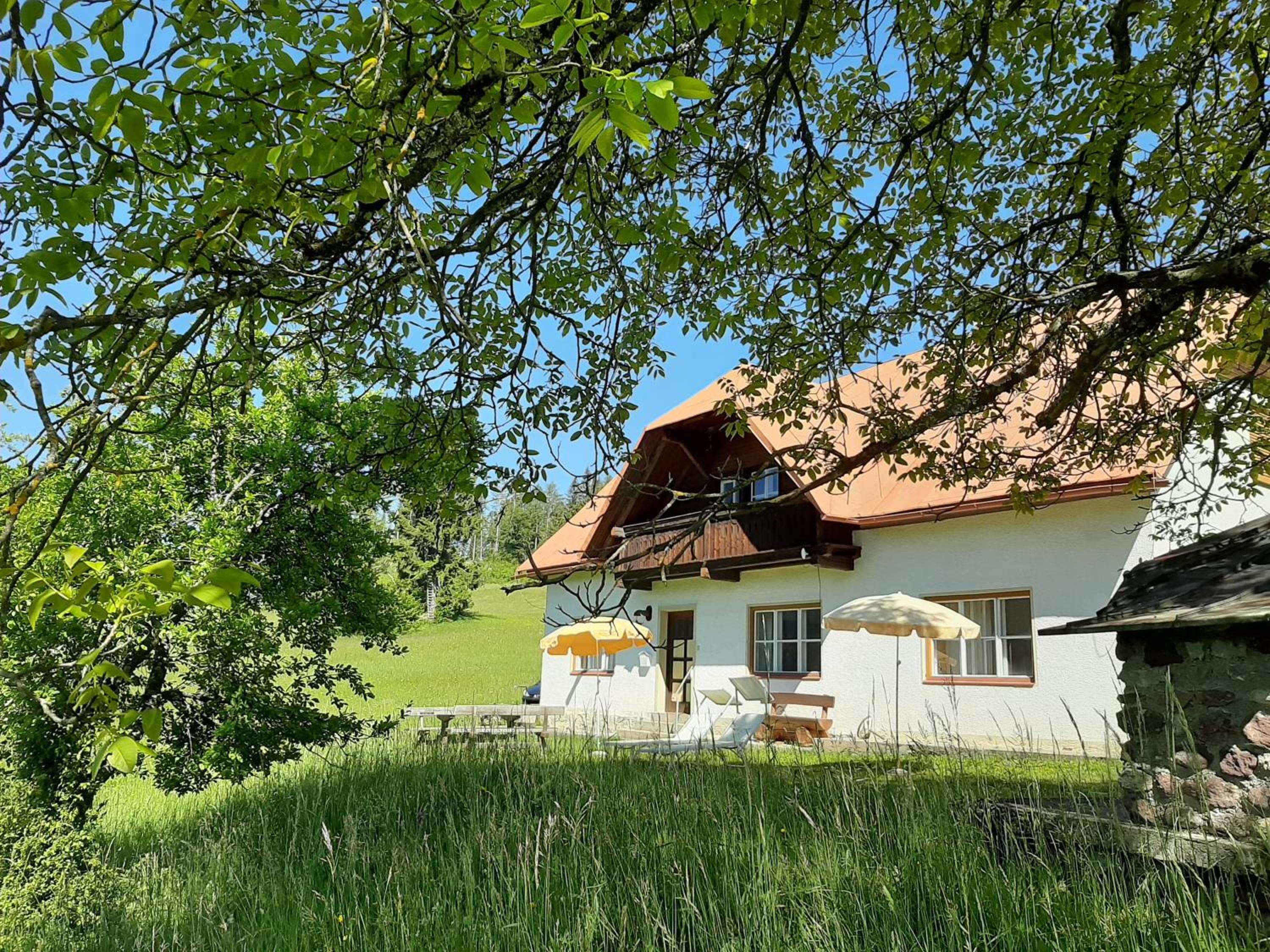 Holiday Home photo 3