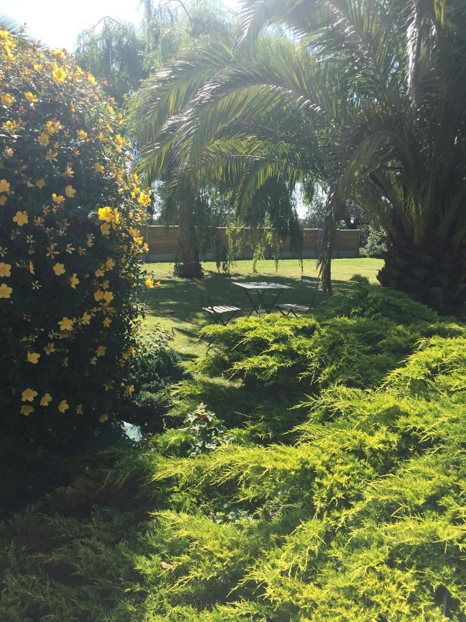 Double Room with Garden View