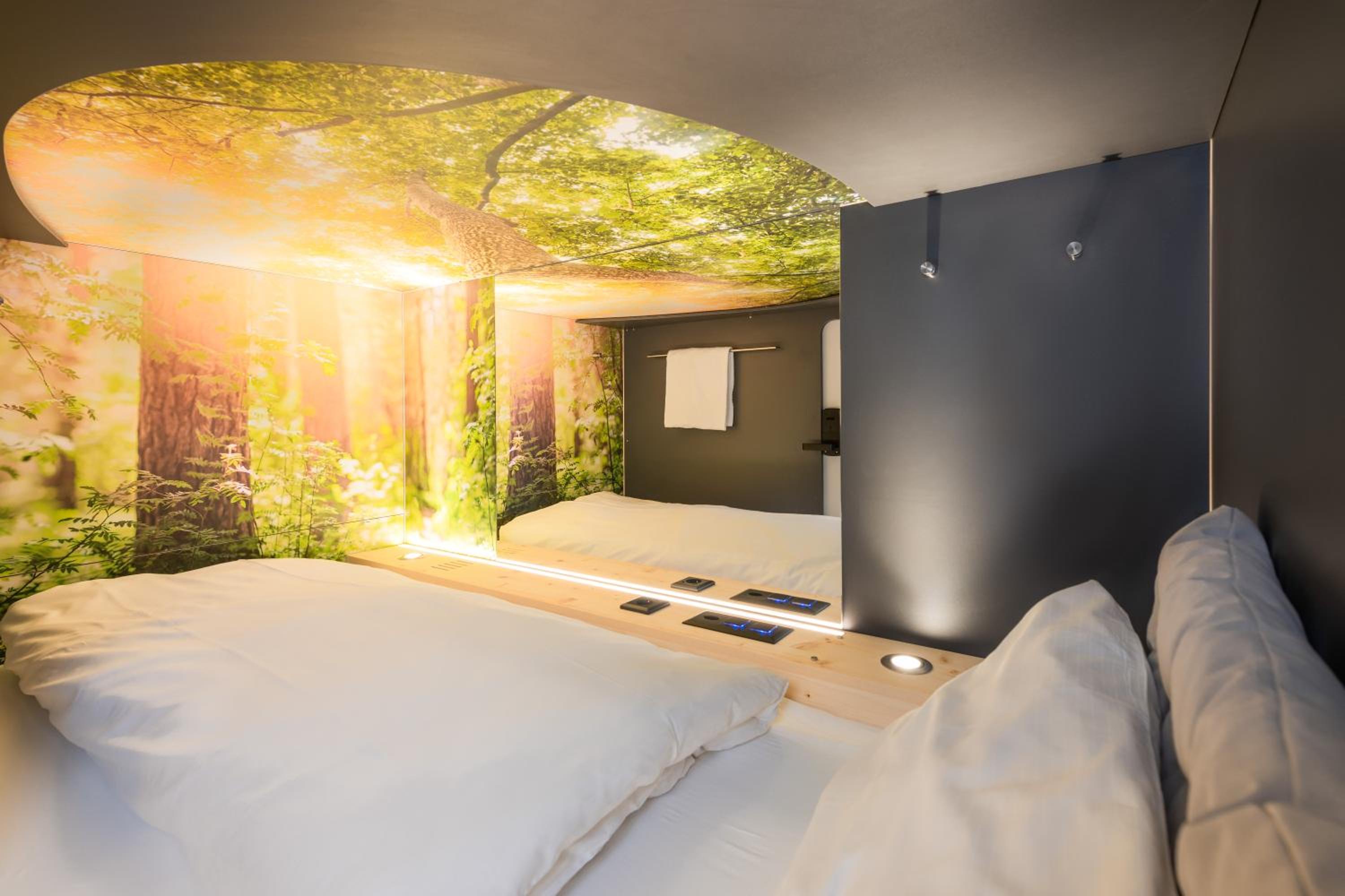 Swiss Forest Room with 4 Capsule Beds with shared bathroom , photo 6