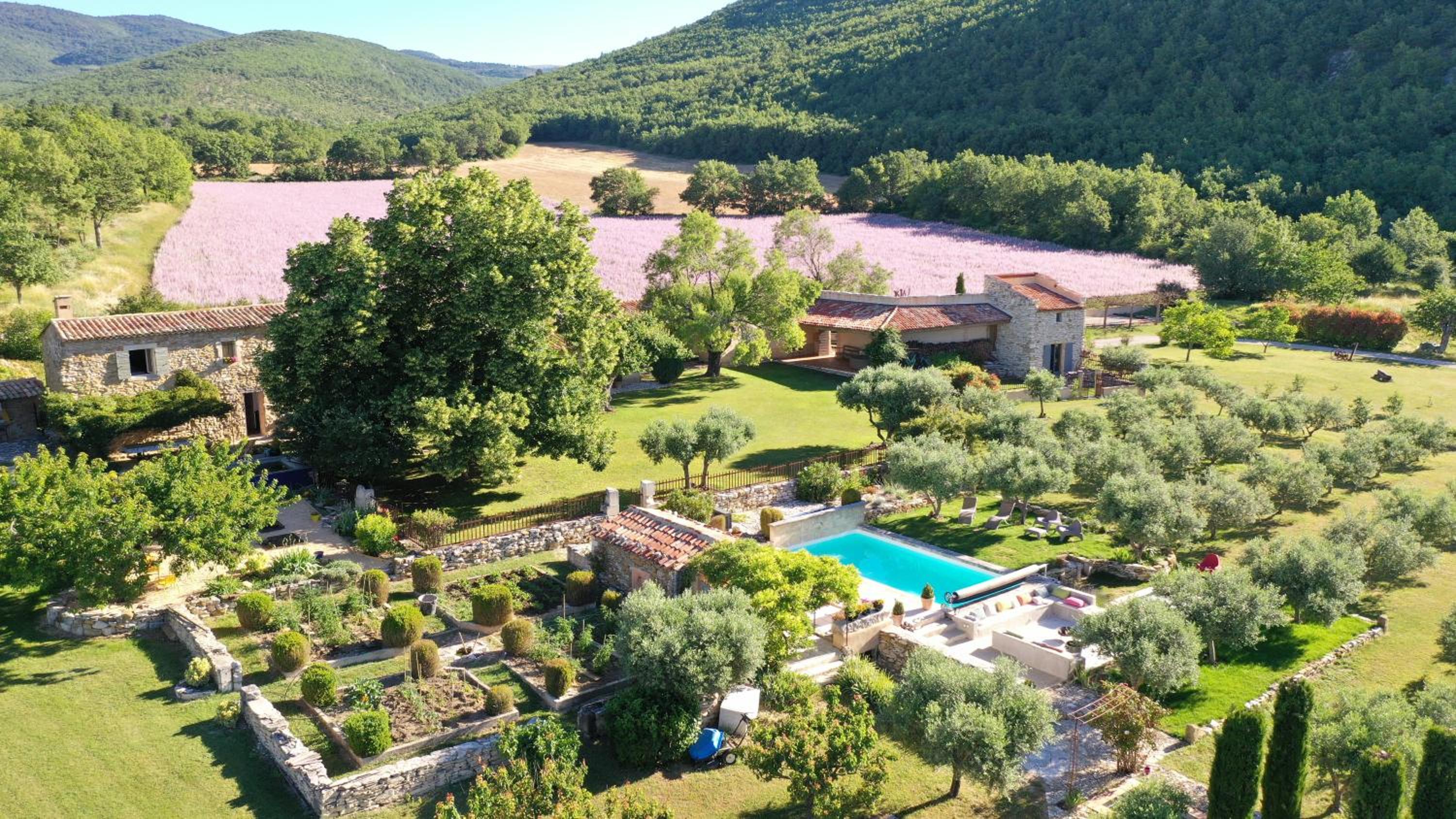 Deluxe Villa photo 1