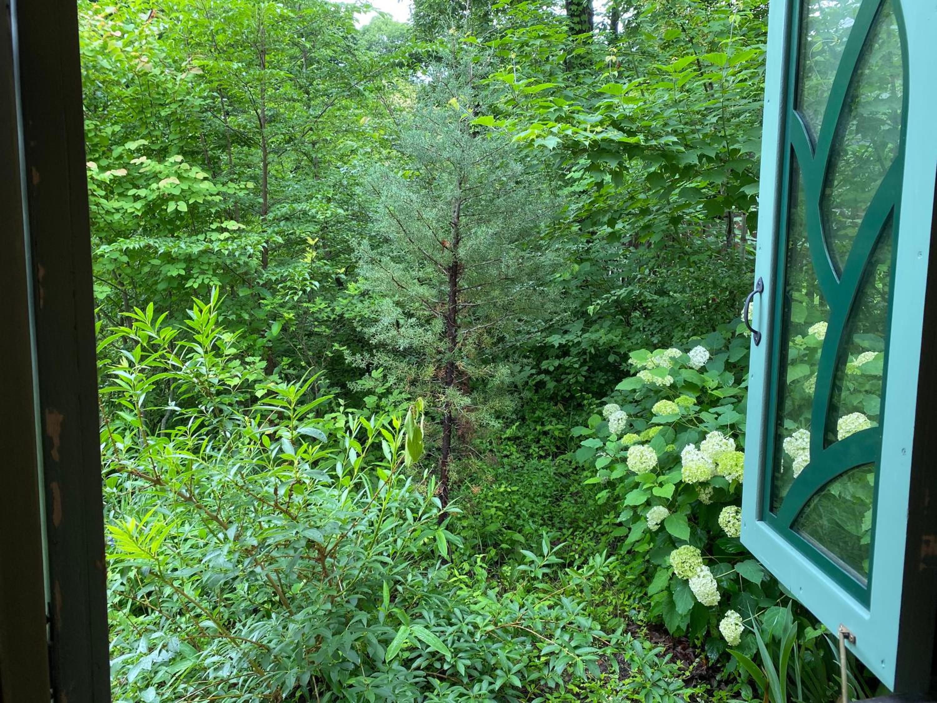 Deluxe Single Room with Balcony photo 3