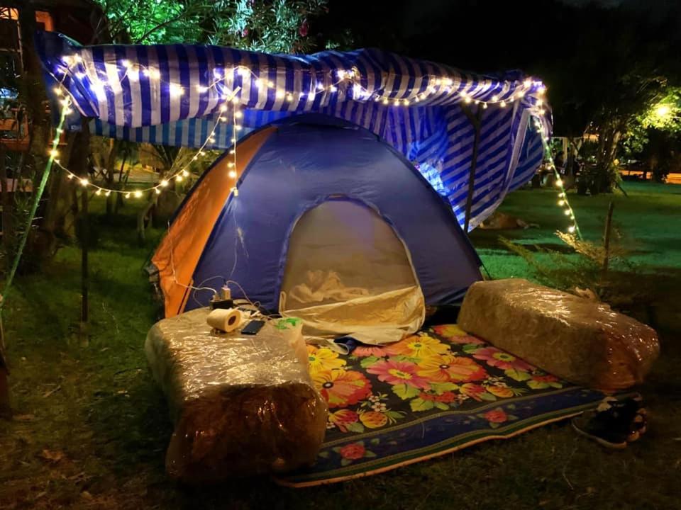 Tent - Photo 2