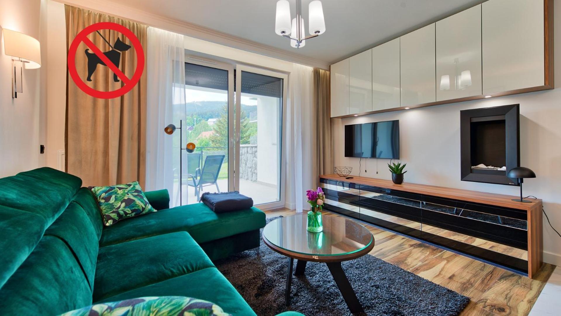 Superior Apartment with Sauna photo 1